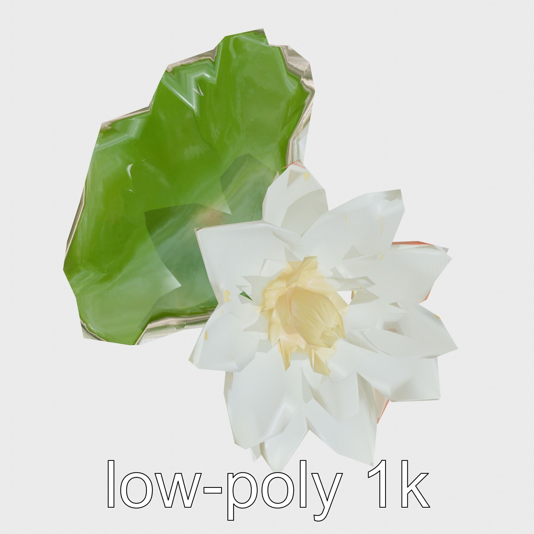 Water Lily Yellow Flower Detailed Model Pack Low-poly 3D model_25