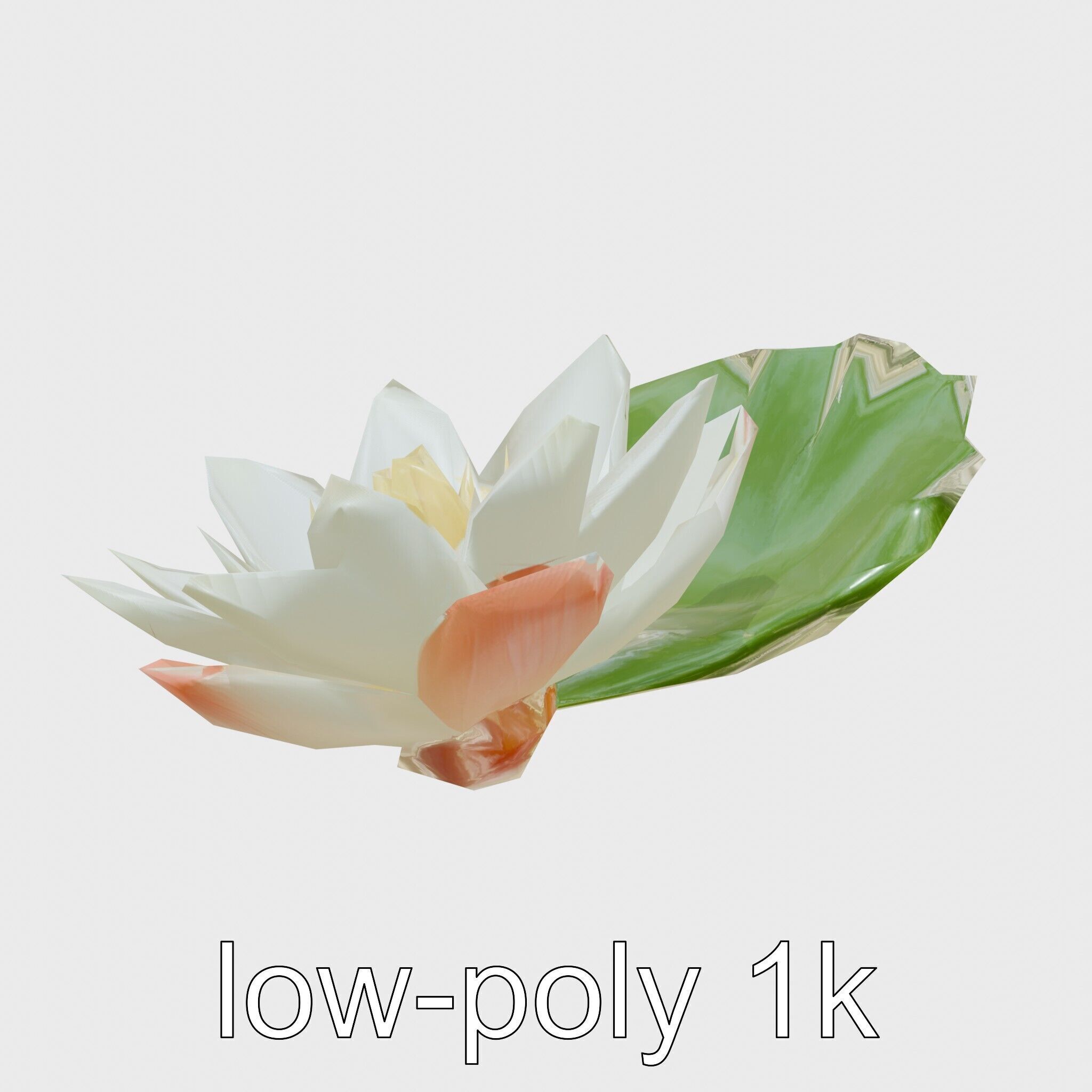 Water Lily Yellow Flower Detailed Model Pack Low-poly 3D model_14