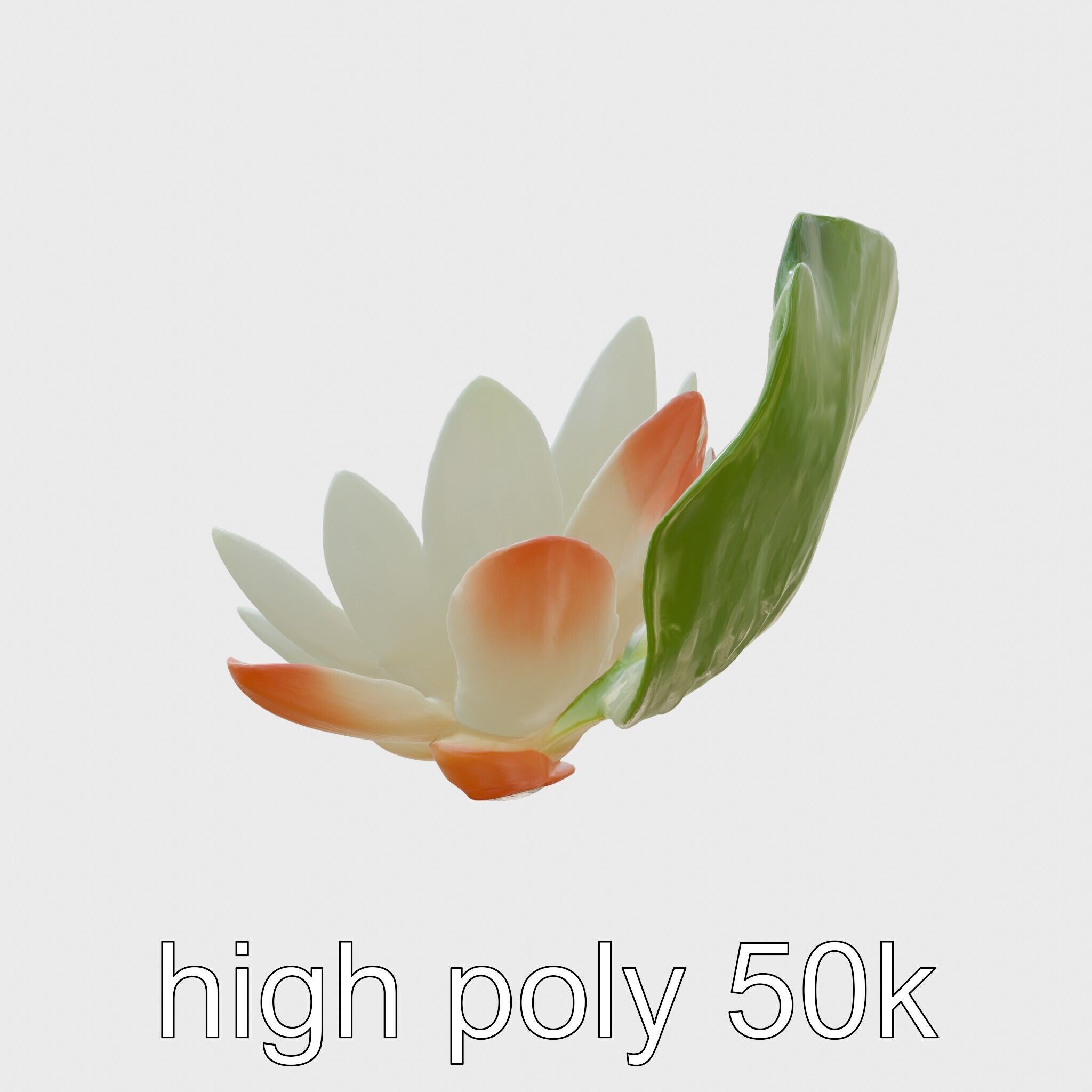 Water Lily Yellow Flower Detailed Model Pack Low-poly 3D model_5