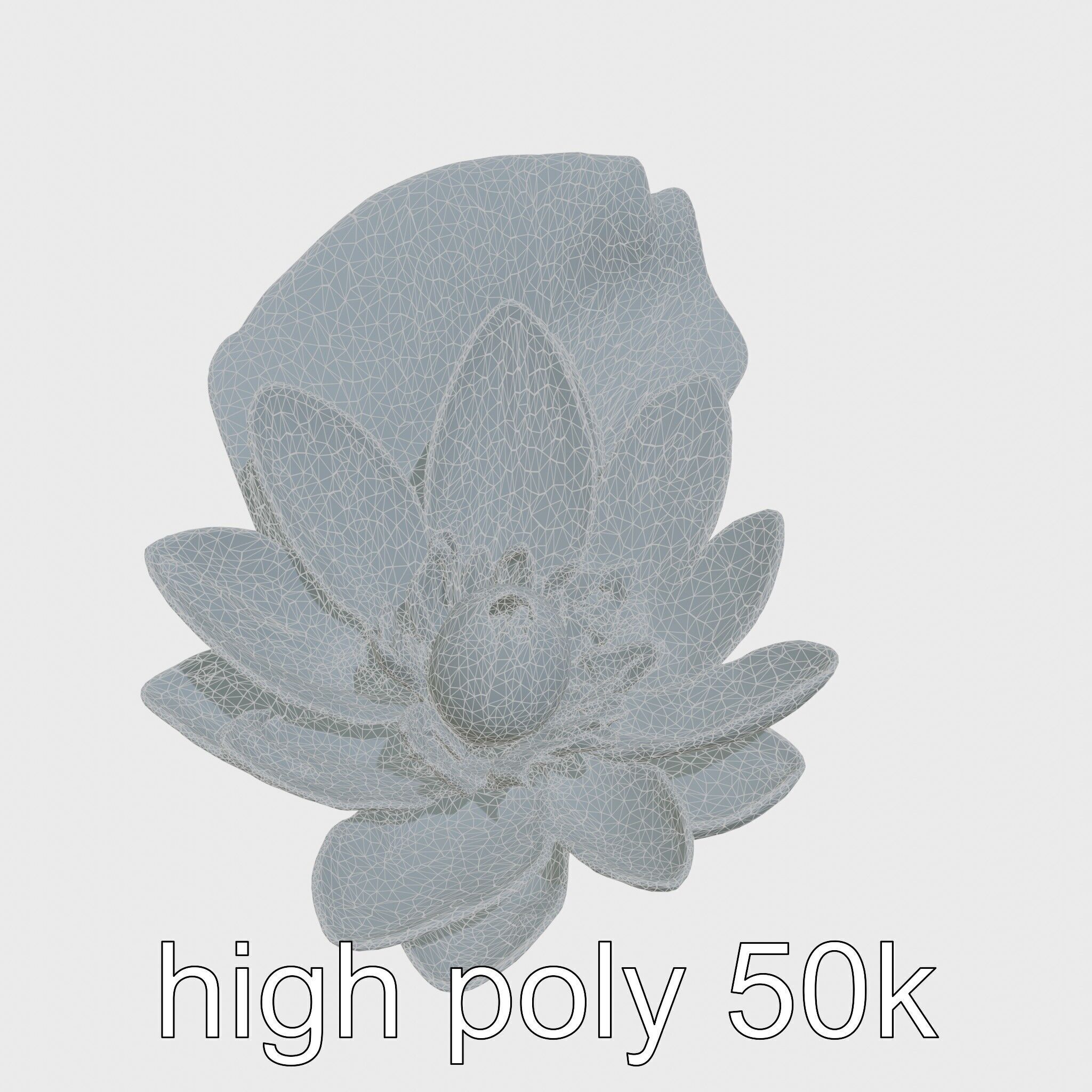 Water Lily Yellow Flower Detailed Model Pack Low-poly 3D model_24