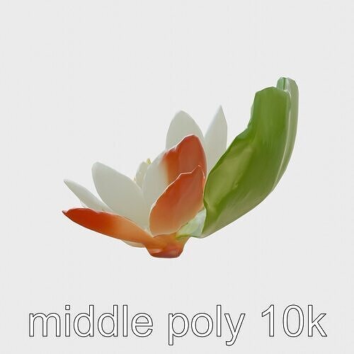 Water Lily Yellow Flower Detailed Model Pack Low-poly 3D model
