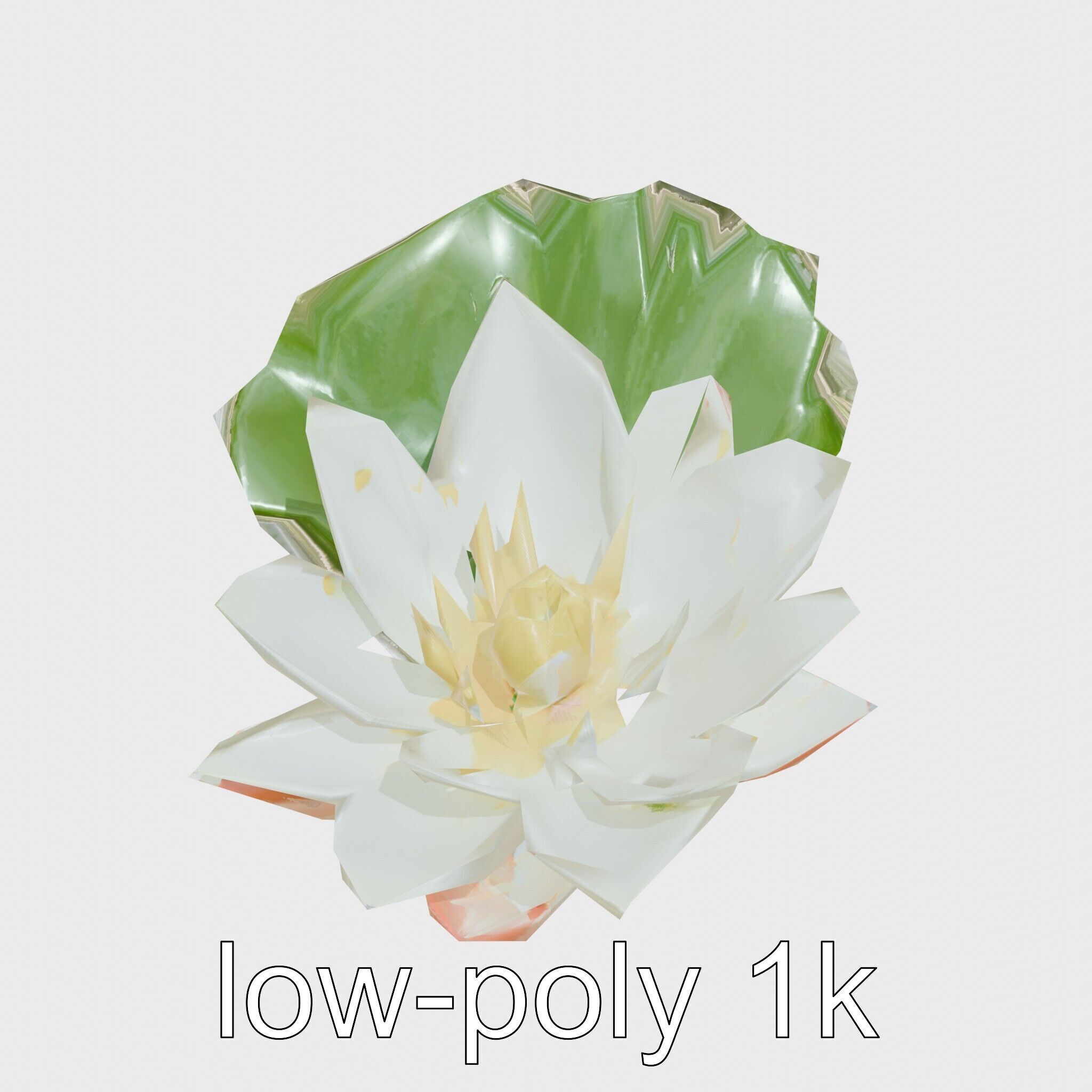 Water Lily Yellow Flower Detailed Model Pack Low-poly 3D model_17