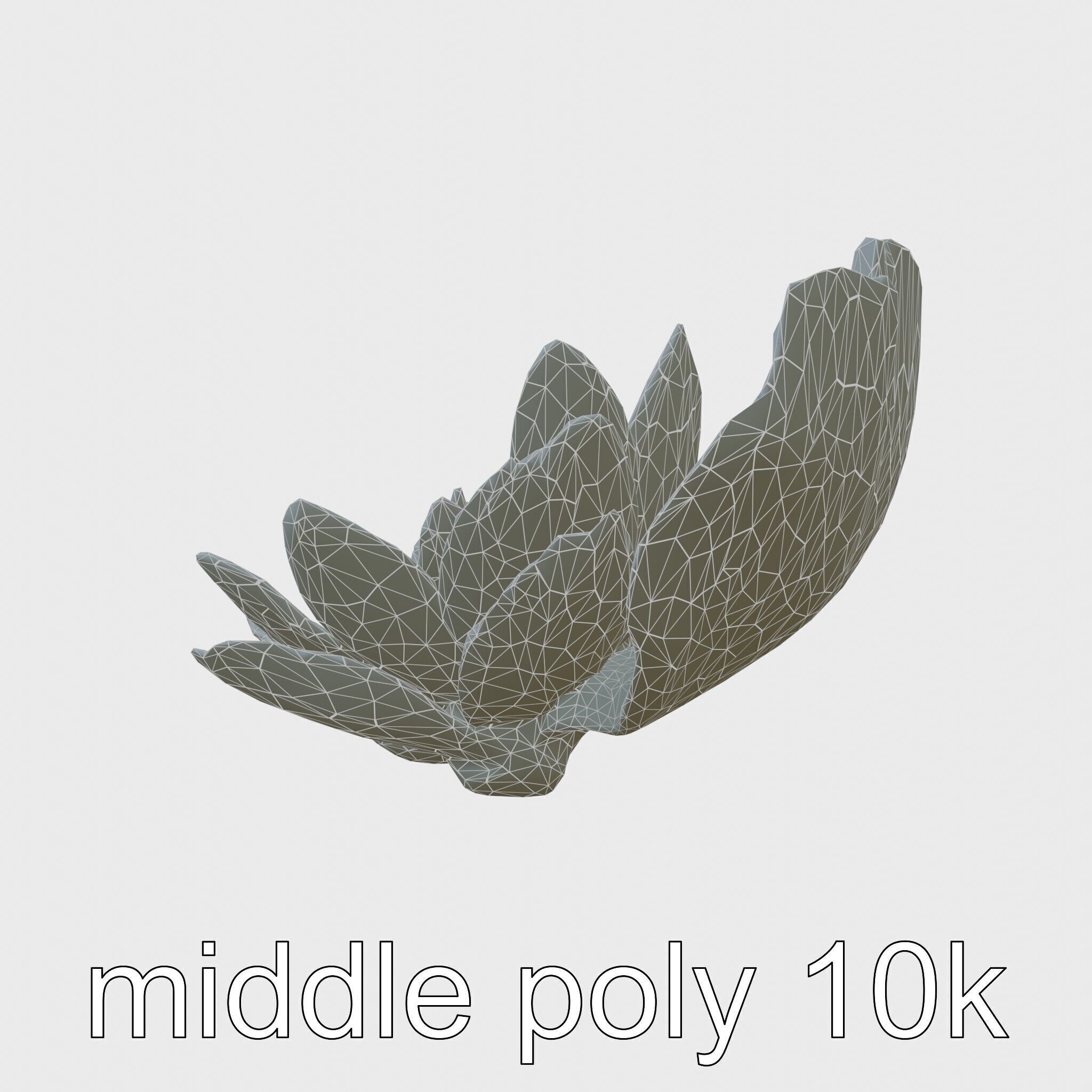 Water Lily Yellow Flower Detailed Model Pack Low-poly 3D model_9