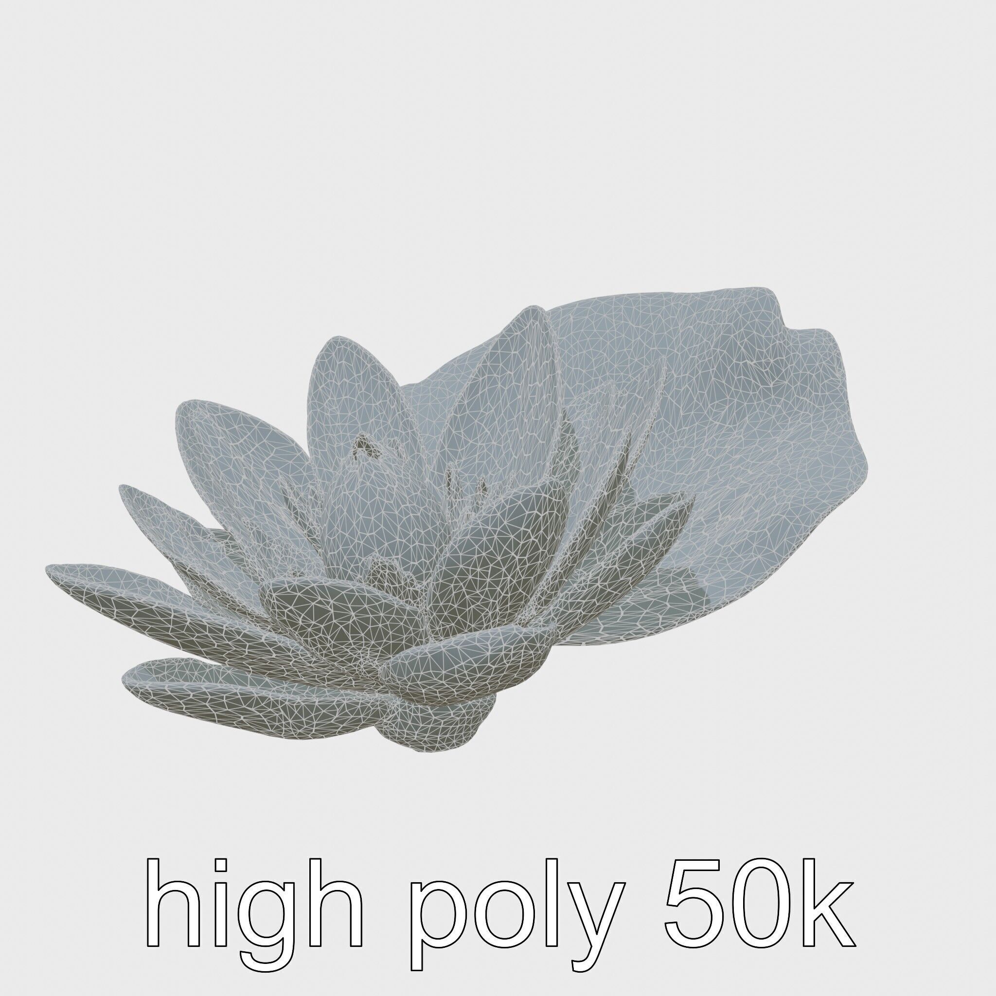 Water Lily Yellow Flower Detailed Model Pack Low-poly 3D model_29