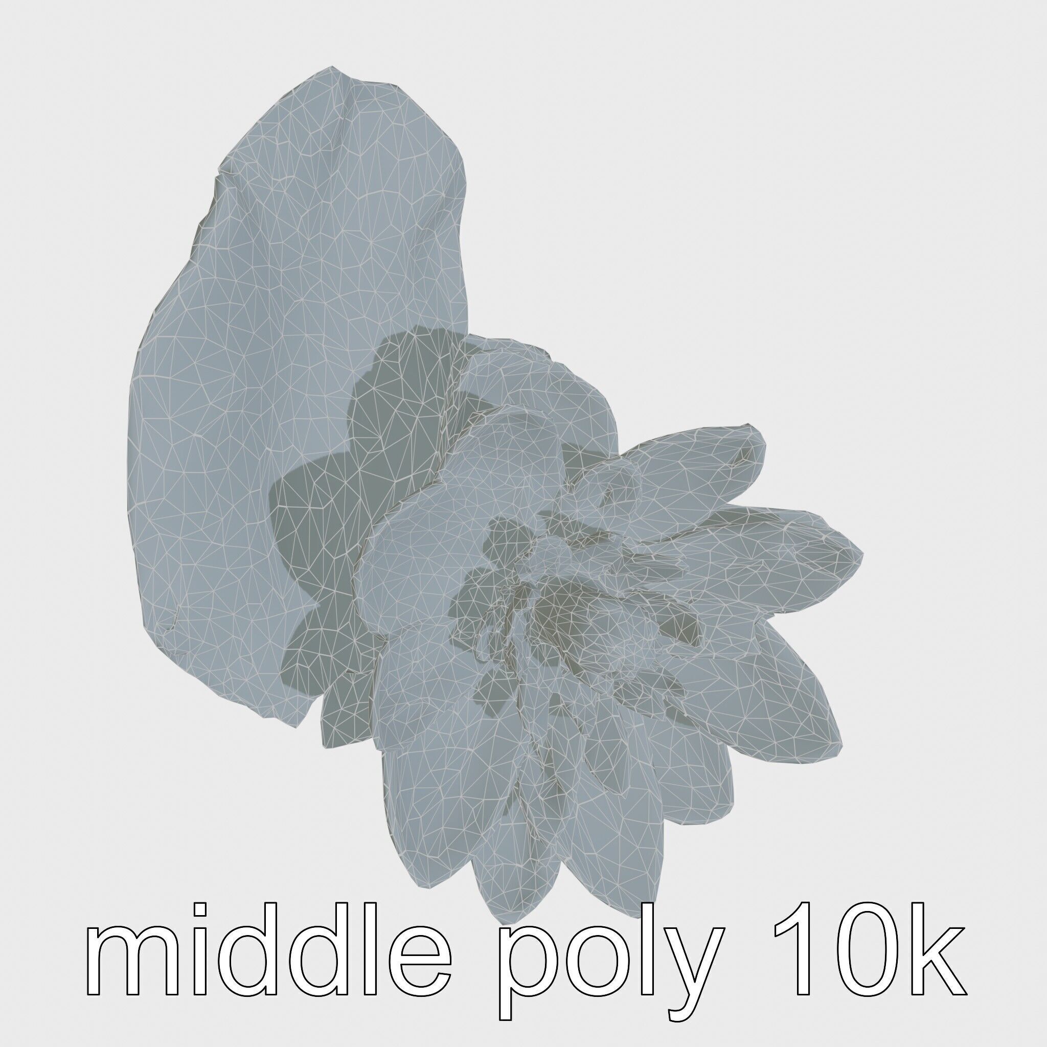 Water Lily Yellow Flower Detailed Model Pack Low-poly 3D model_32