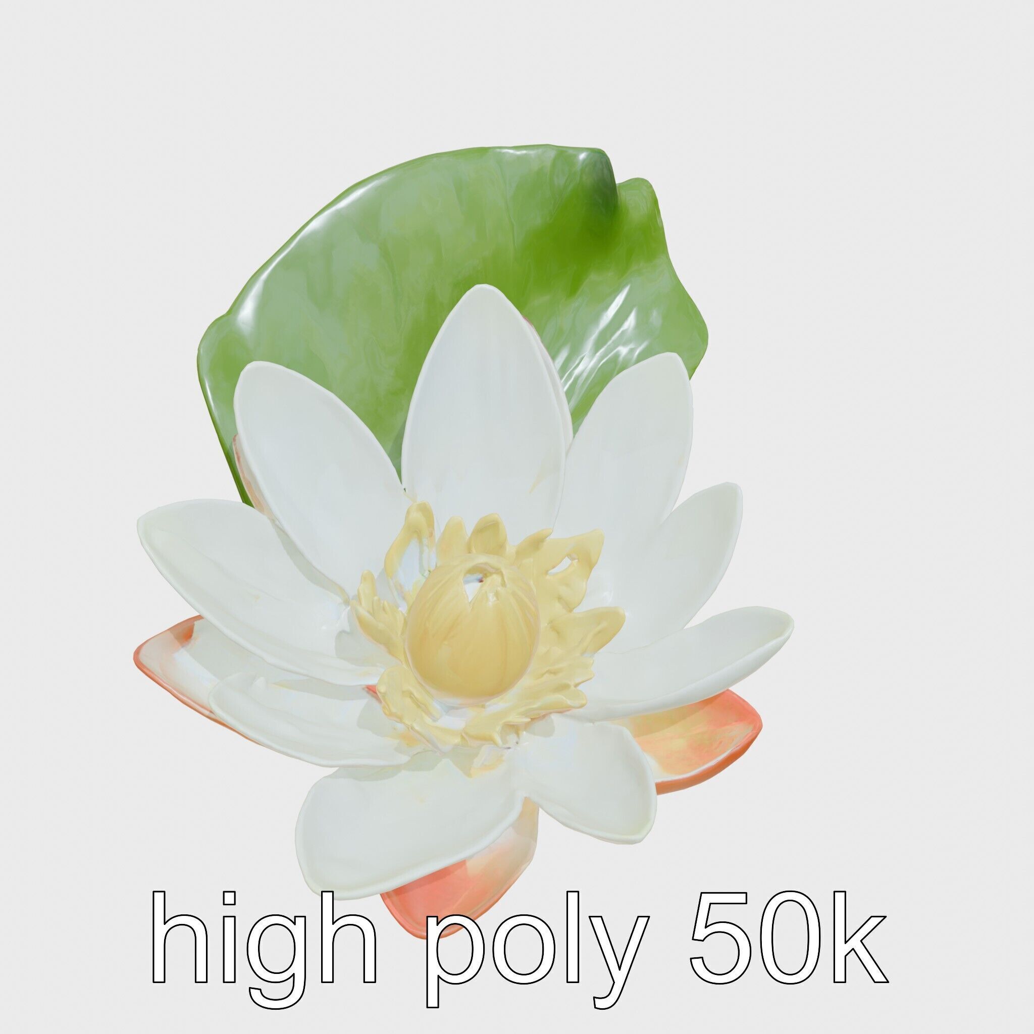 Water Lily Yellow Flower Detailed Model Pack Low-poly 3D model_11