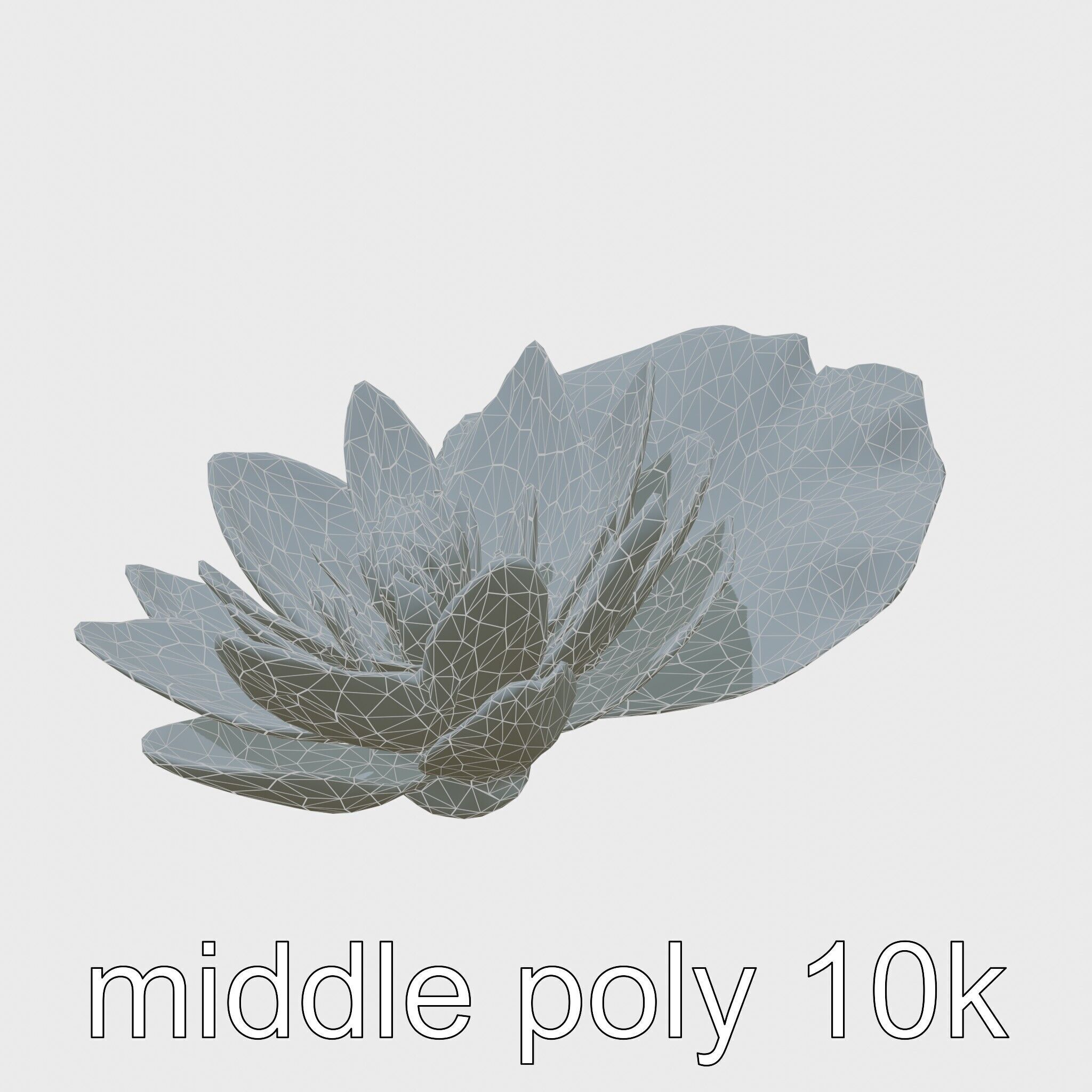 Water Lily Yellow Flower Detailed Model Pack Low-poly 3D model_23