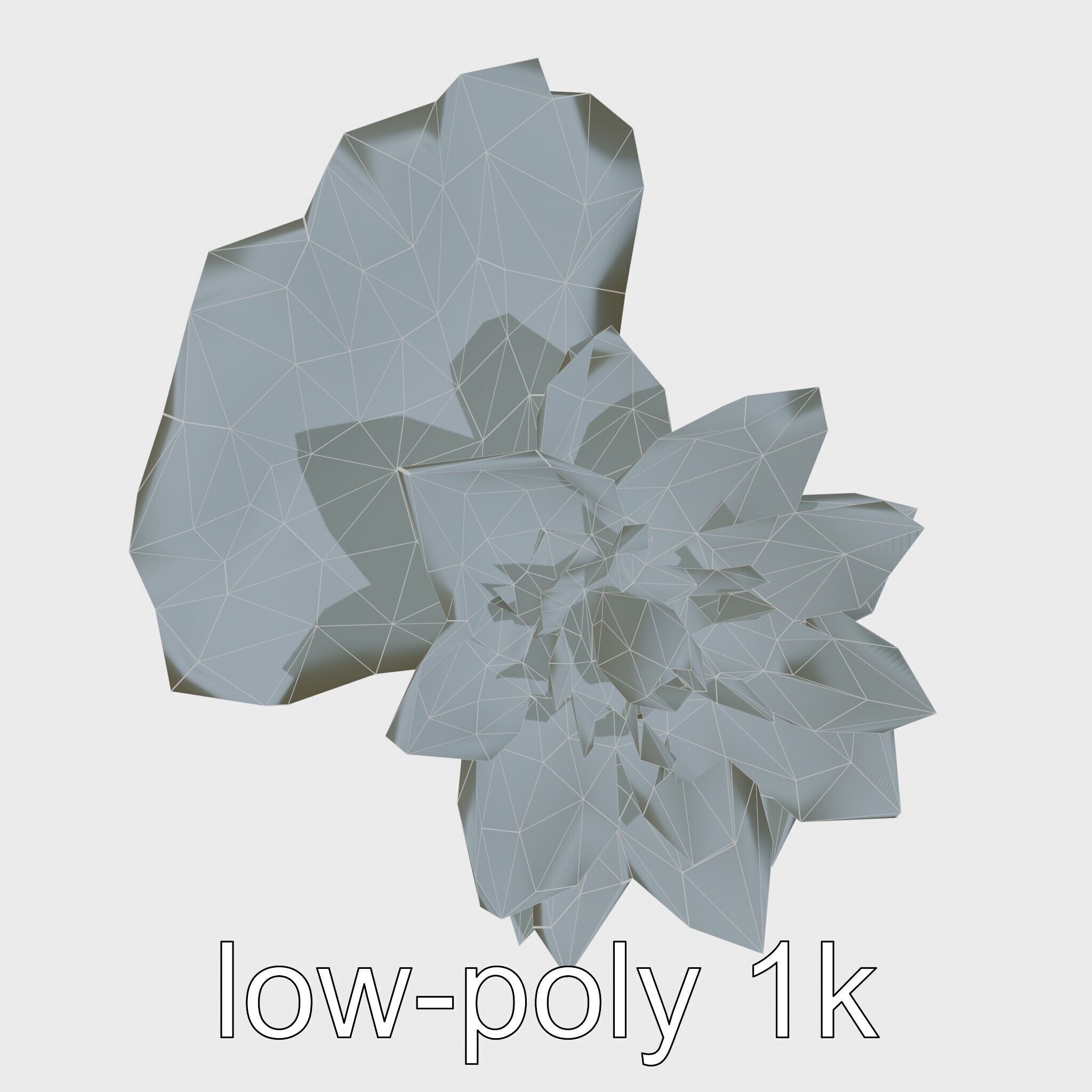 Water Lily Yellow Flower Detailed Model Pack Low-poly 3D model_20