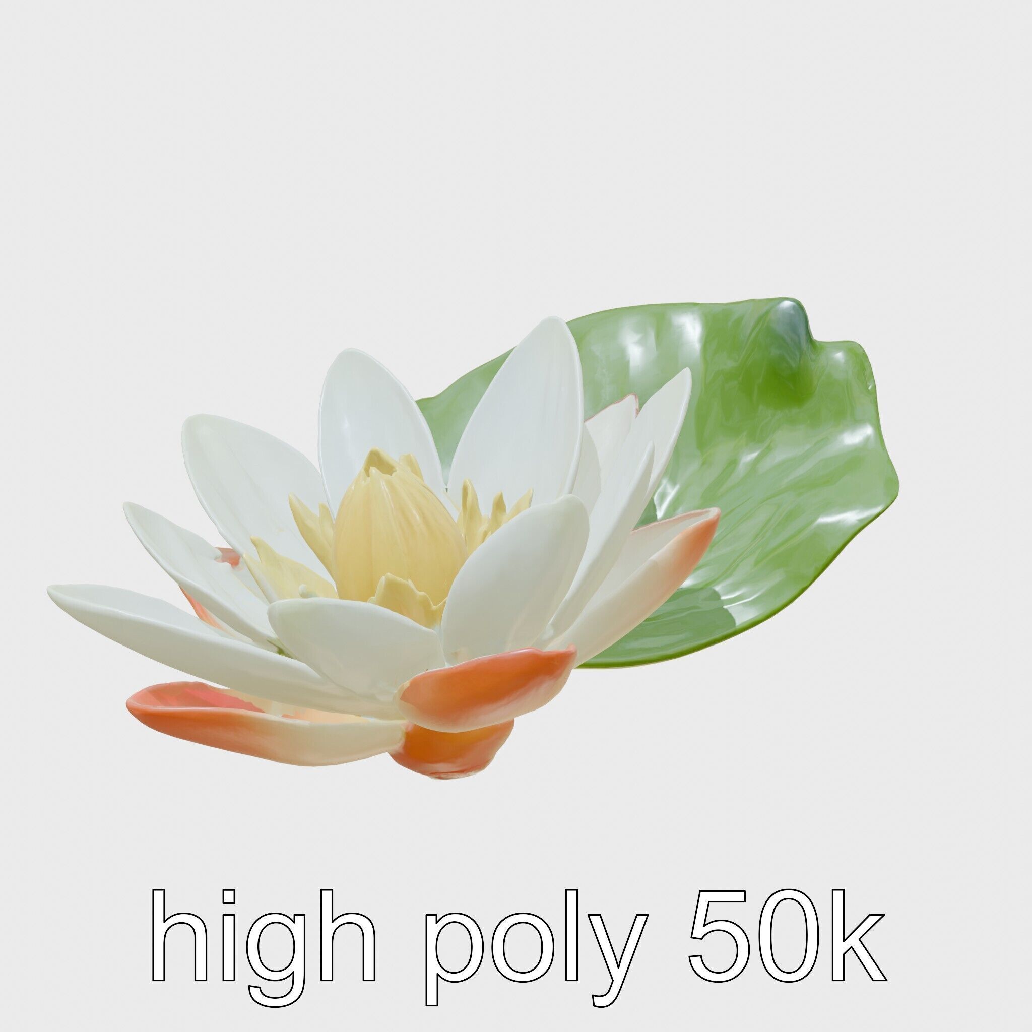 Water Lily Yellow Flower Detailed Model Pack Low-poly 3D model_31