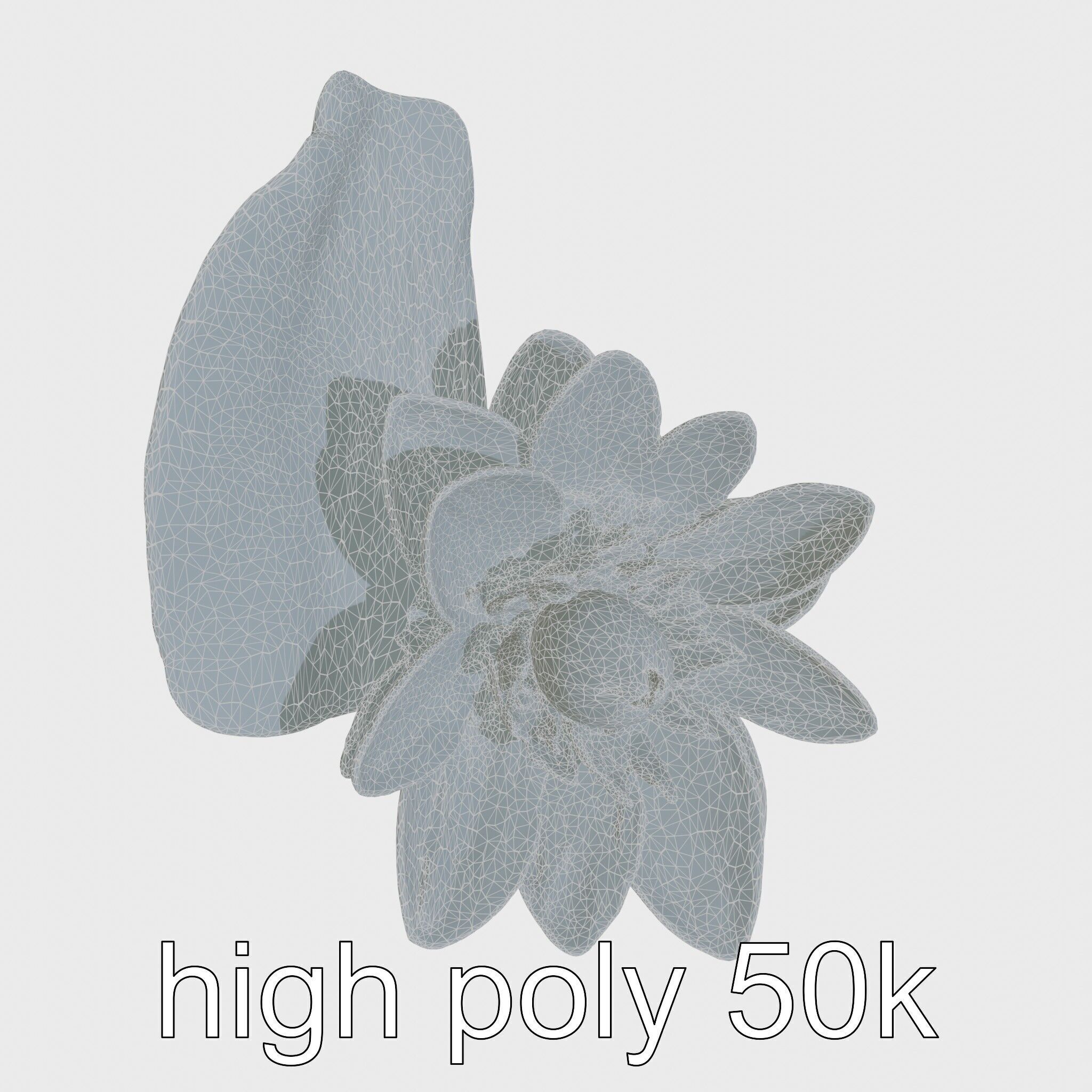 Water Lily Yellow Flower Detailed Model Pack Low-poly 3D model_27