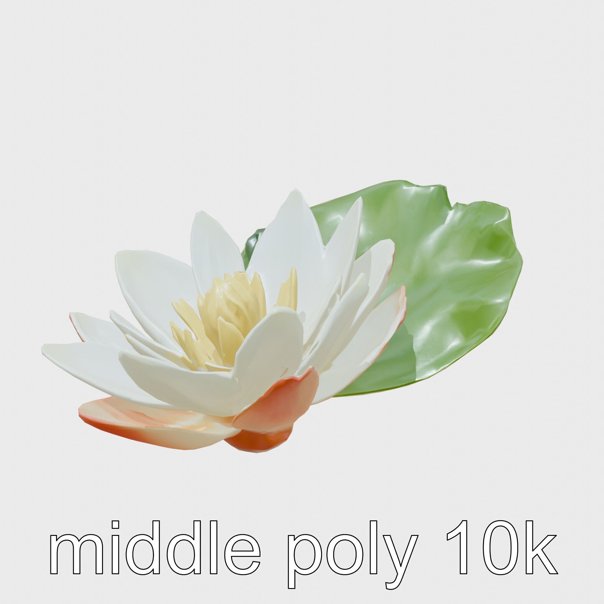 Water Lily Yellow Flower Detailed Model Pack Low-poly 3D model_16