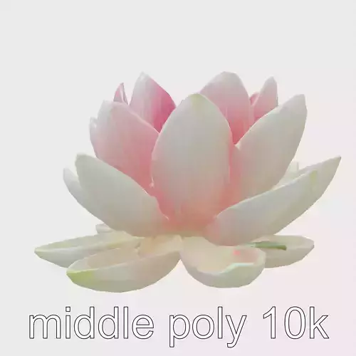 Classic White Water Lily with Floating Leaves model pack