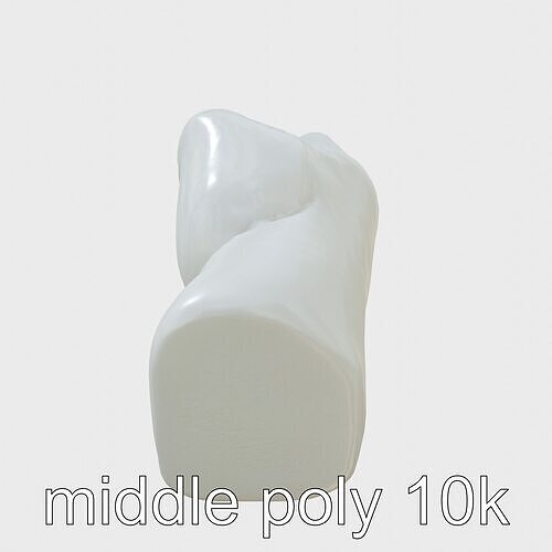 Strength Detailed Fist model pack for empowerment projects Low-poly 3D model