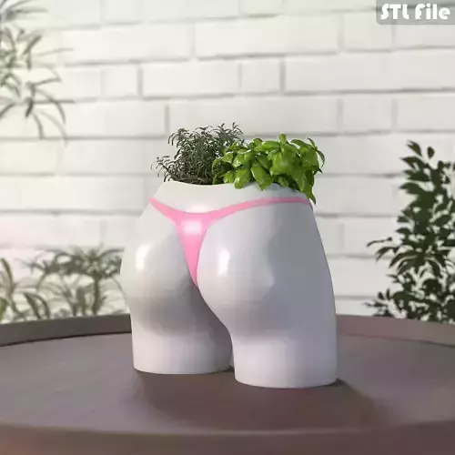 Butt Planter STL 3d print model