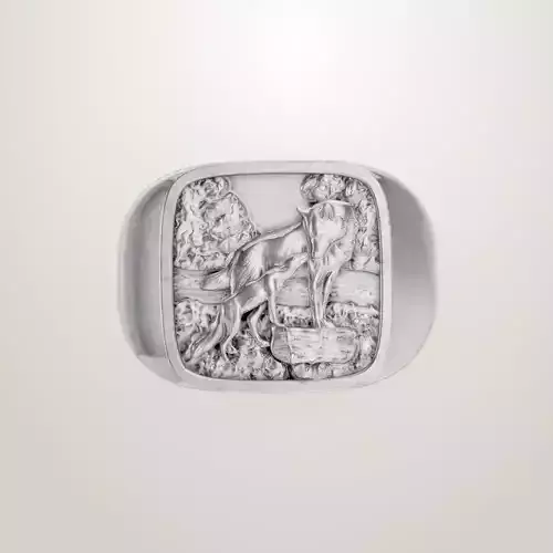 Man Signet Ring Jewelry for Men Gift for Him