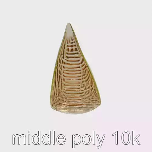 Honeydew Melon Slice Textured 3D Model Pack