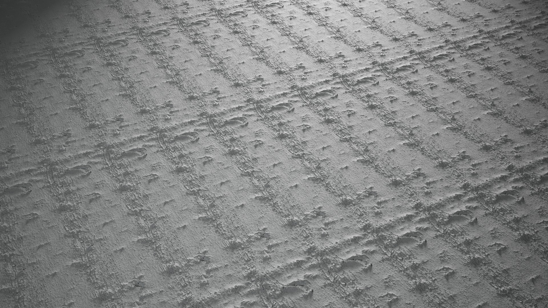 Anydrafts Acer tataricum Bark 02 Texture_3