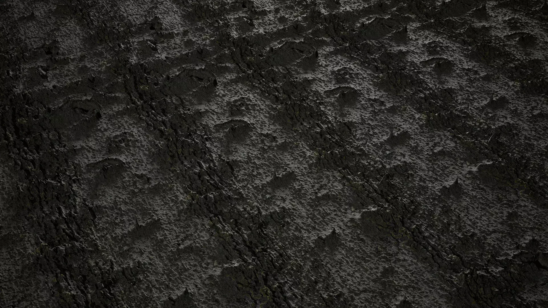 Anydrafts Acer tataricum Bark 02 Texture_0