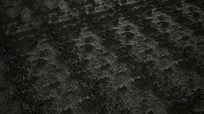Anydrafts Acer tataricum Bark 02 Texture