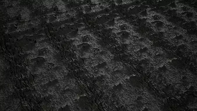 Anydrafts Acer tataricum Bark 02