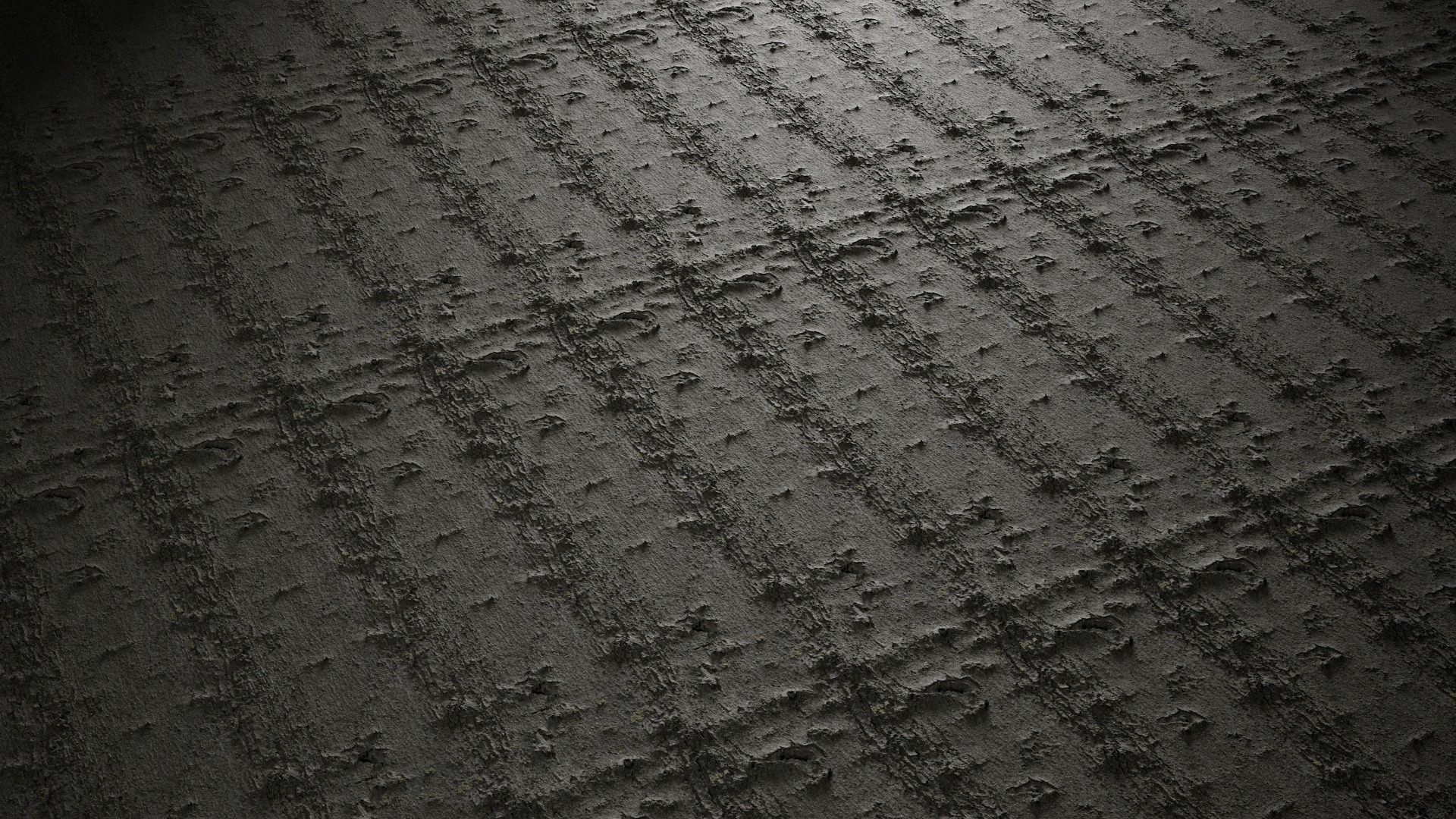 Anydrafts Acer tataricum Bark 02 Texture_2