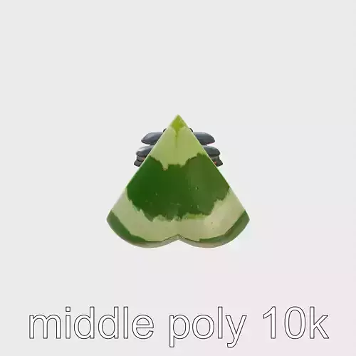 Cartoonish Watermelon Slice model pack