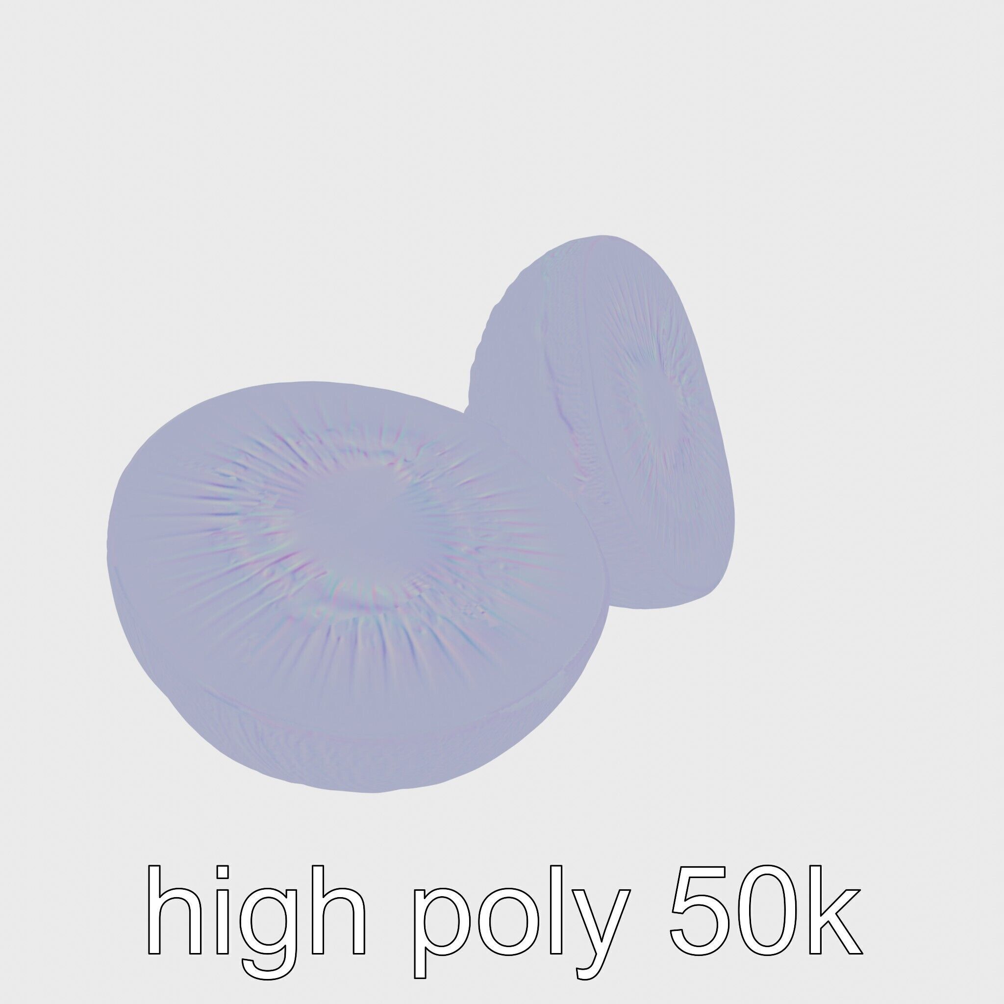 Kiwi Slice Photorealistic Model Pack Low-poly 3D model_21
