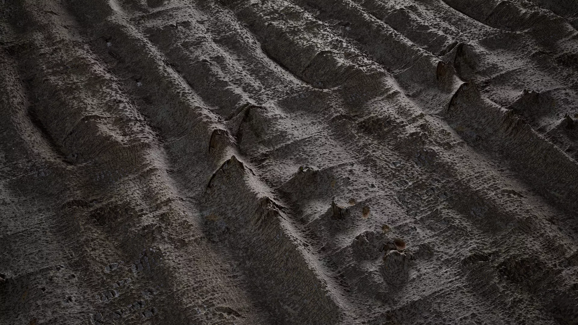 Anydrafts Bauhinia variegata Bark 01 Texture_0