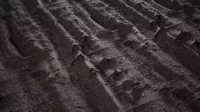 Anydrafts Bauhinia variegata Bark 01