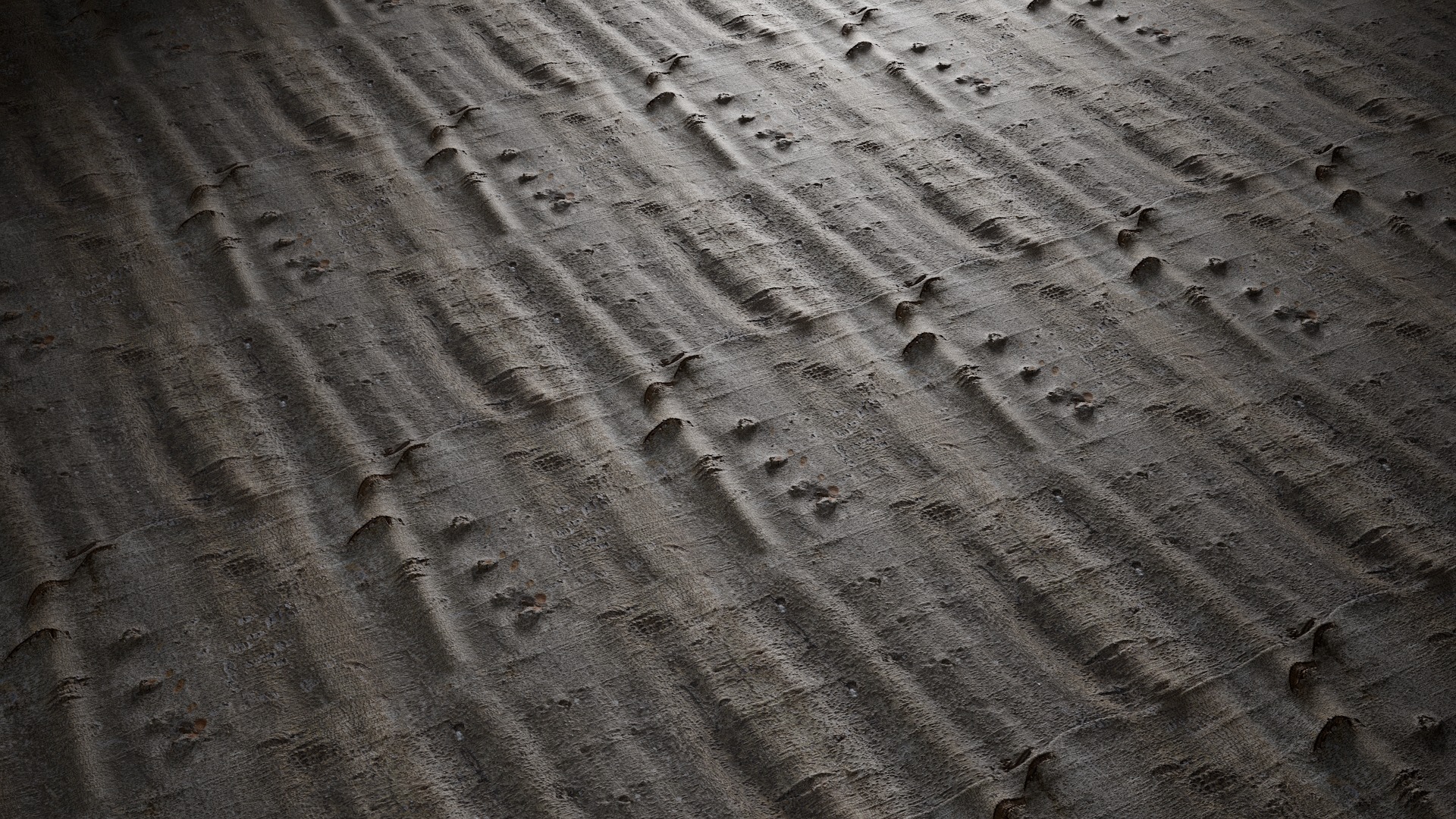 Anydrafts Bauhinia variegata Bark 01 Texture_2