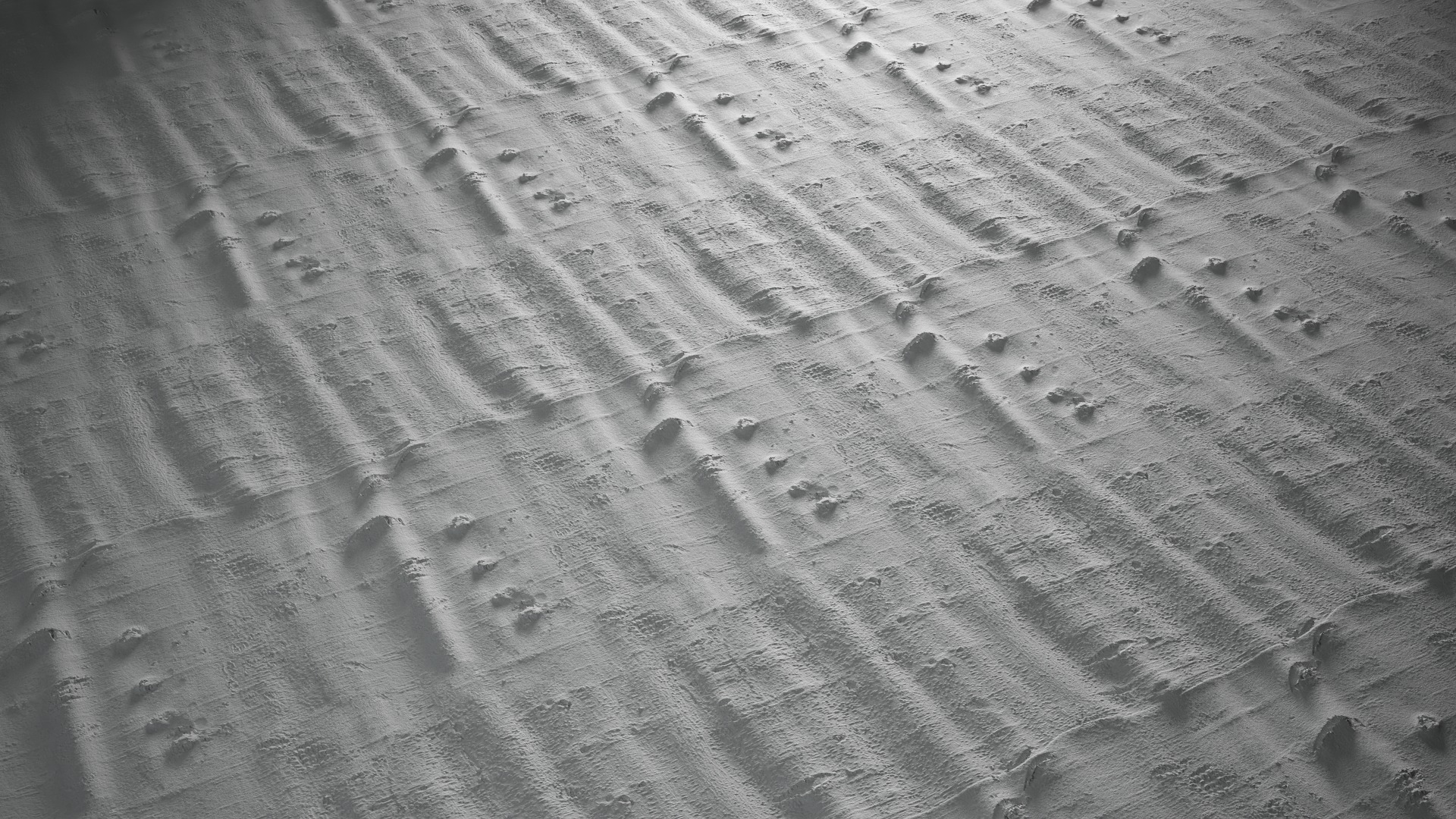 Anydrafts Bauhinia variegata Bark 01 Texture_3