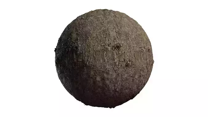 Anydrafts Bauhinia variegata Bark 03