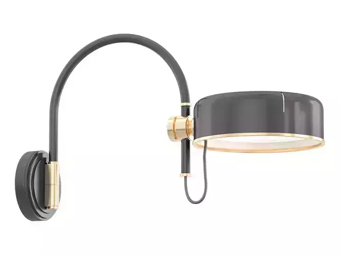 Oso Articulating Arc Wall Light