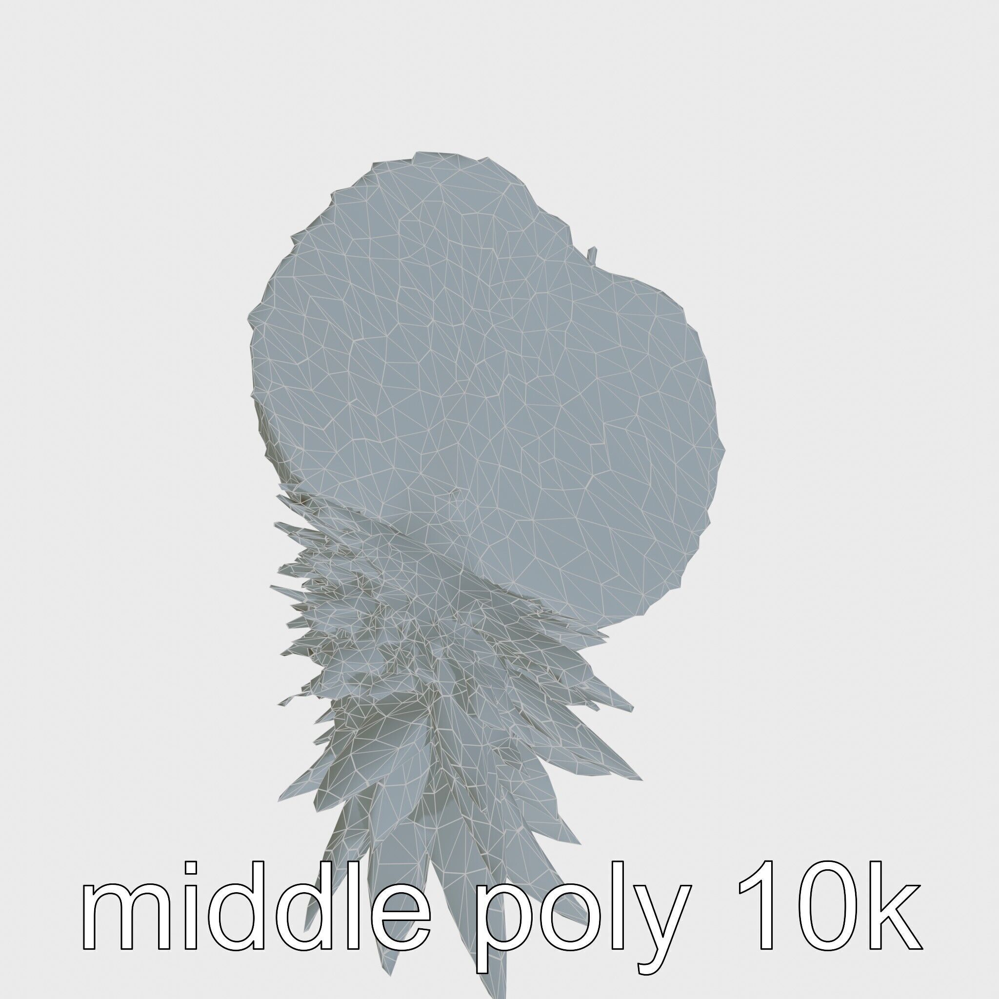 Exotic Pineapple Slice 3D model pack Low-poly 3D model_32