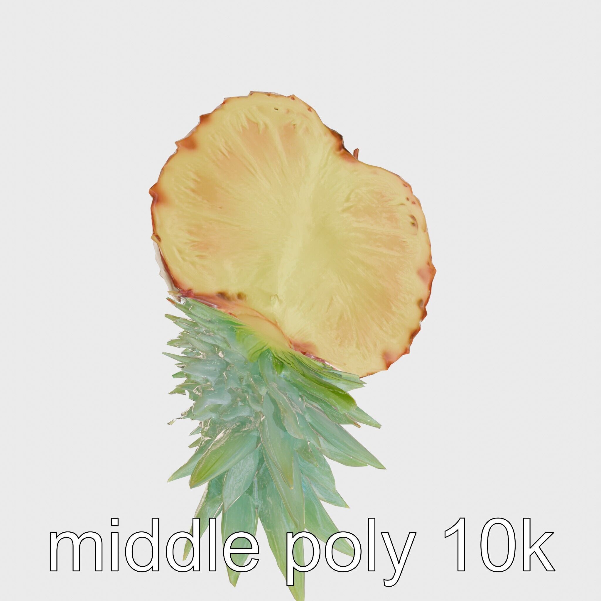 Exotic Pineapple Slice 3D model pack Low-poly 3D model_24