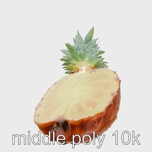 Exotic Pineapple Slice 3D model pack Low-poly 3D model