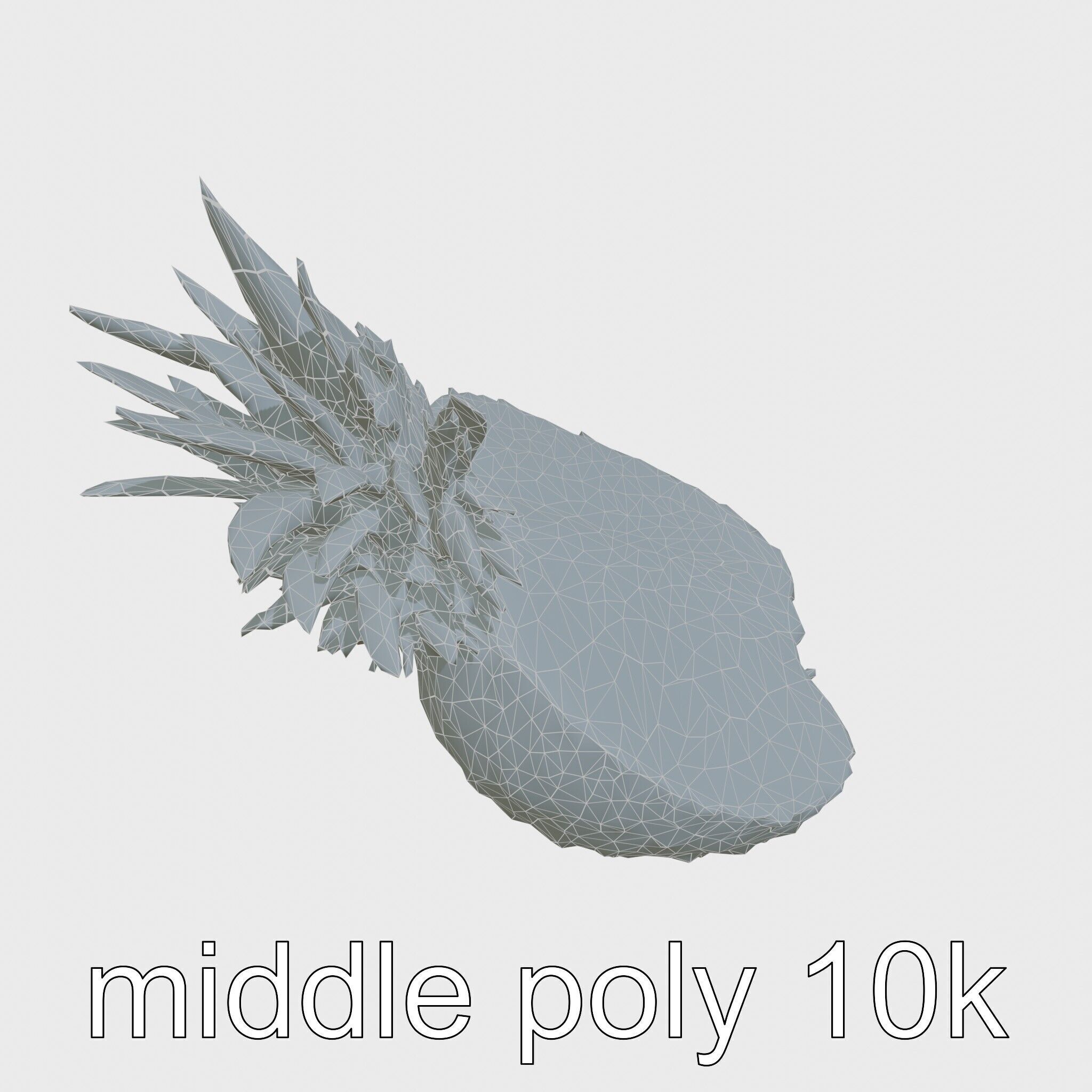 Exotic Pineapple Slice 3D model pack Low-poly 3D model_23