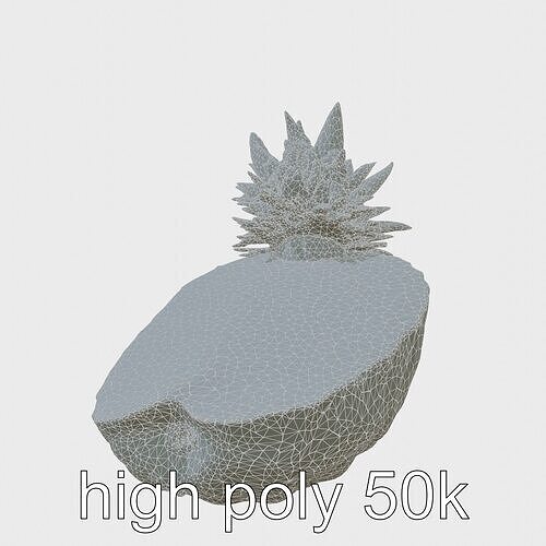Exotic Pineapple Slice 3D model pack Low-poly 3D model 6