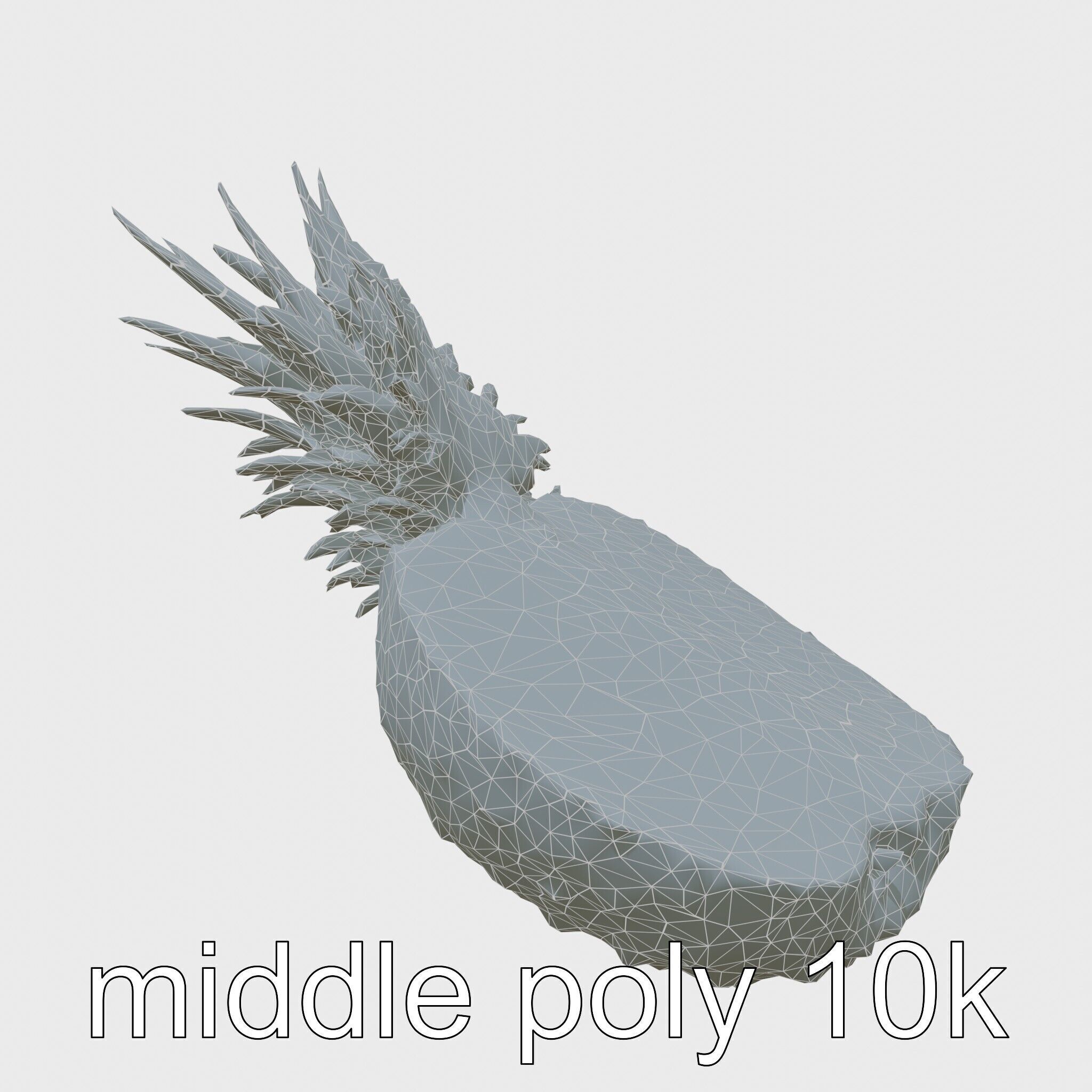 Exotic Pineapple Slice 3D model pack Low-poly 3D model_33