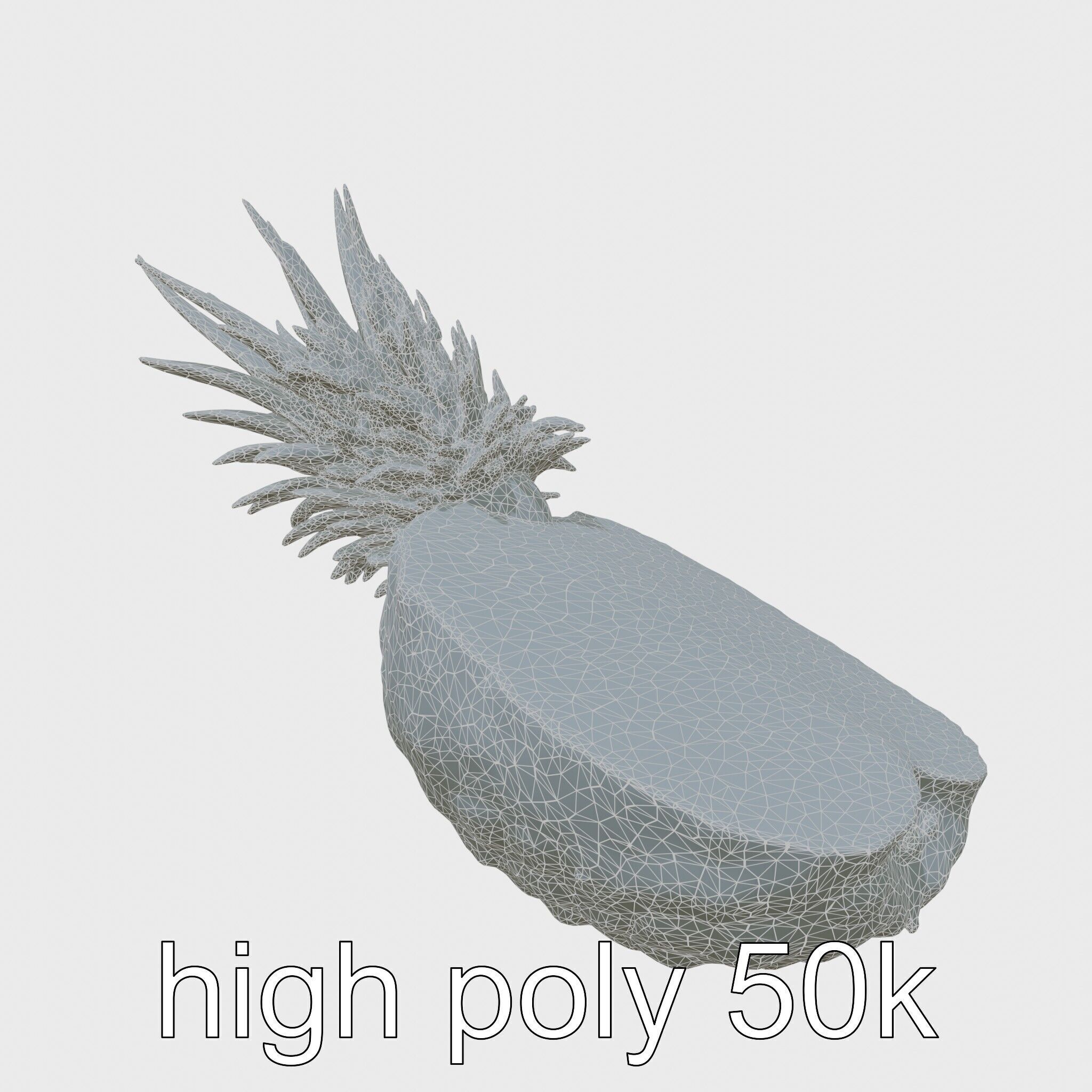 Exotic Pineapple Slice 3D model pack Low-poly 3D model_28