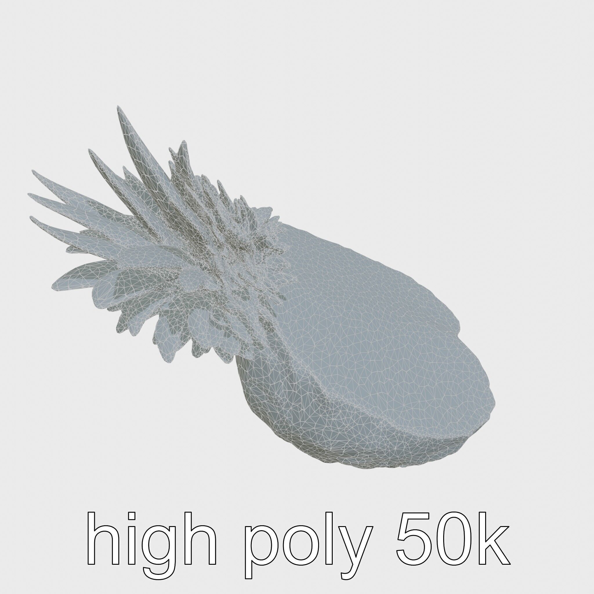 Exotic Pineapple Slice 3D model pack Low-poly 3D model_16