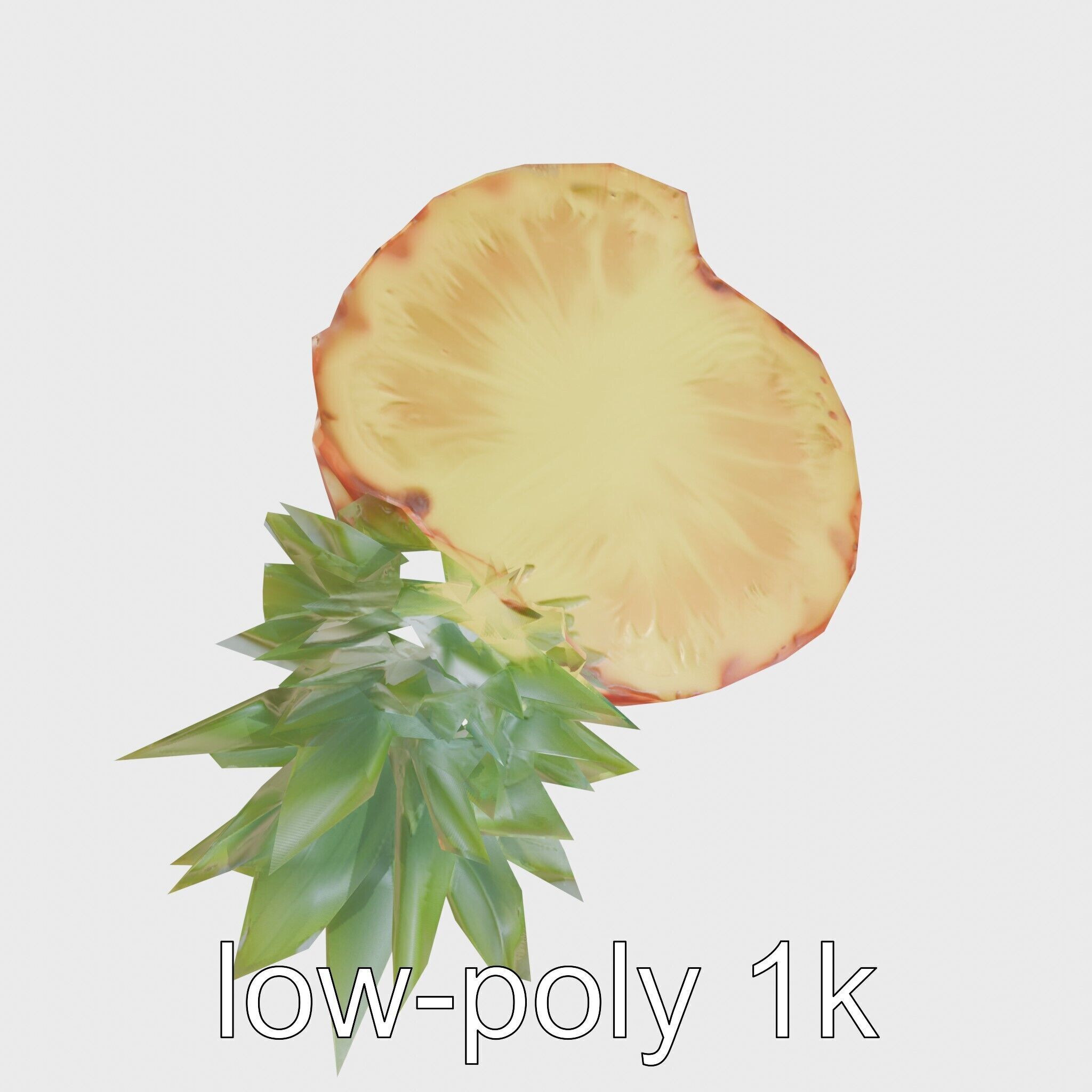 Exotic Pineapple Slice 3D model pack Low-poly 3D model_7