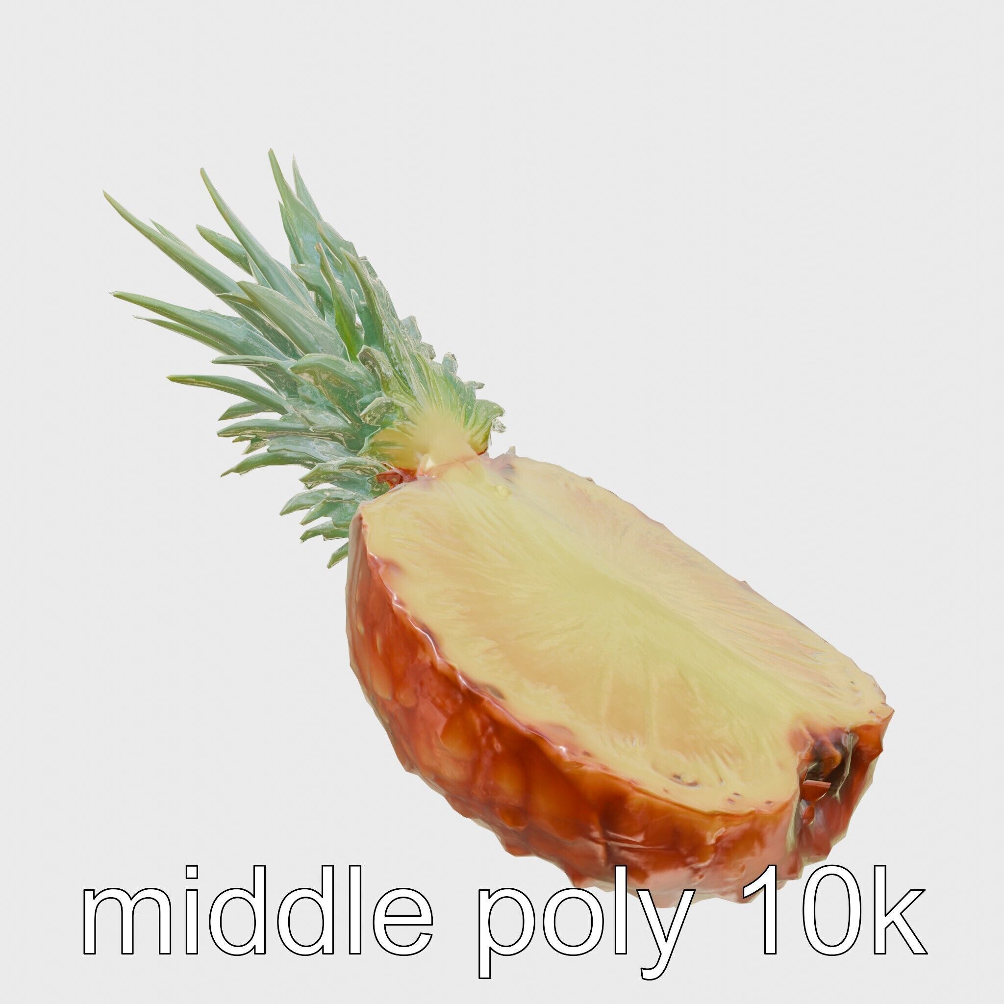 Exotic Pineapple Slice 3D model pack Low-poly 3D model_25