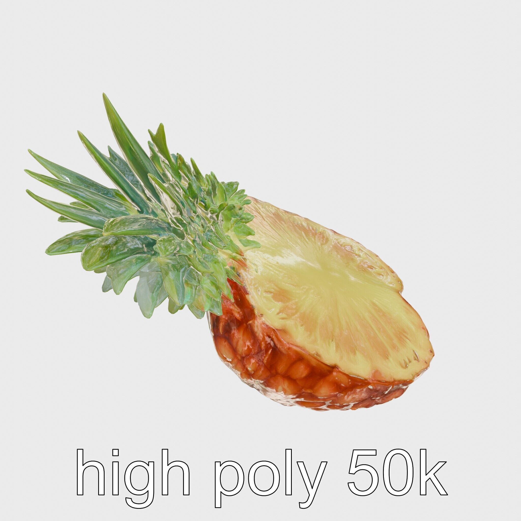 Exotic Pineapple Slice 3D model pack Low-poly 3D model_11