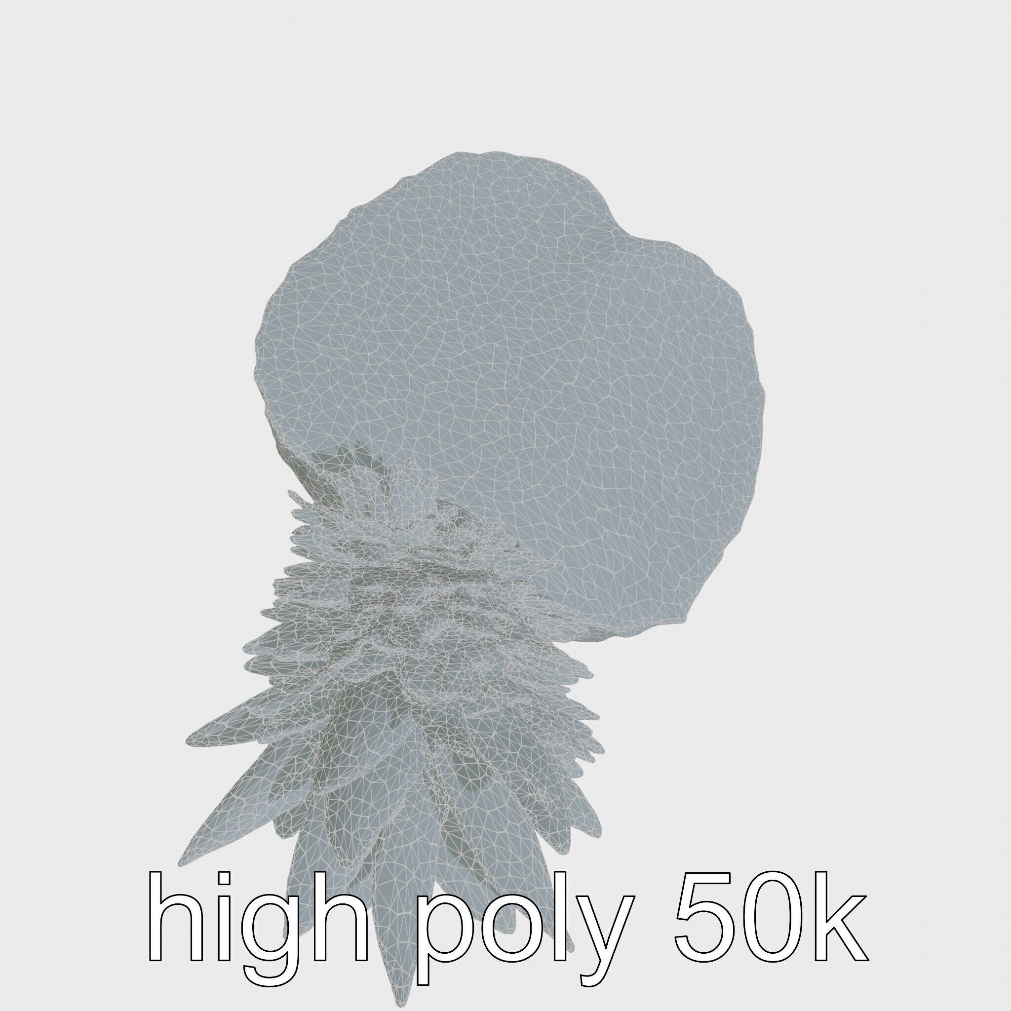 Exotic Pineapple Slice 3D model pack Low-poly 3D model_30