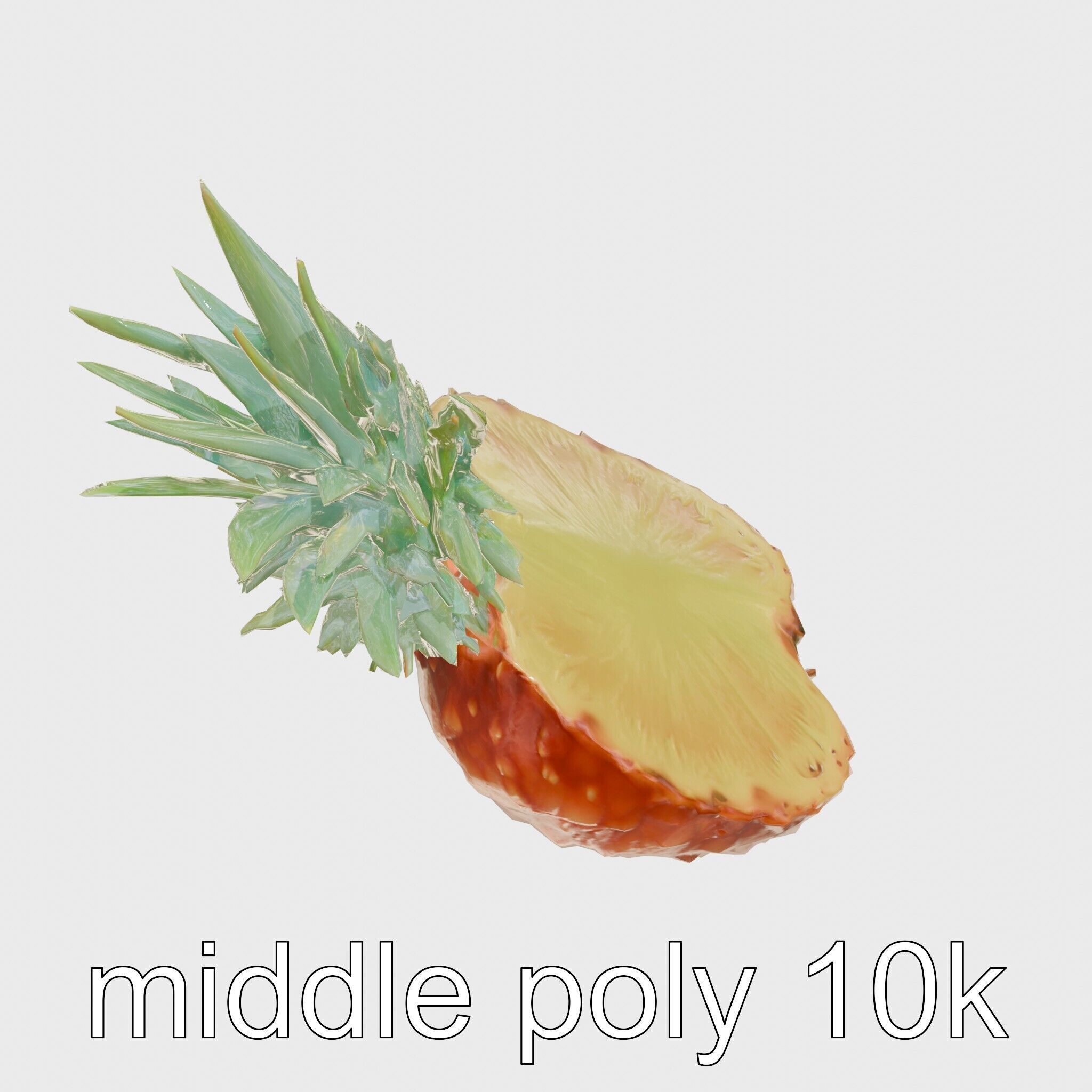 Exotic Pineapple Slice 3D model pack Low-poly 3D model_12