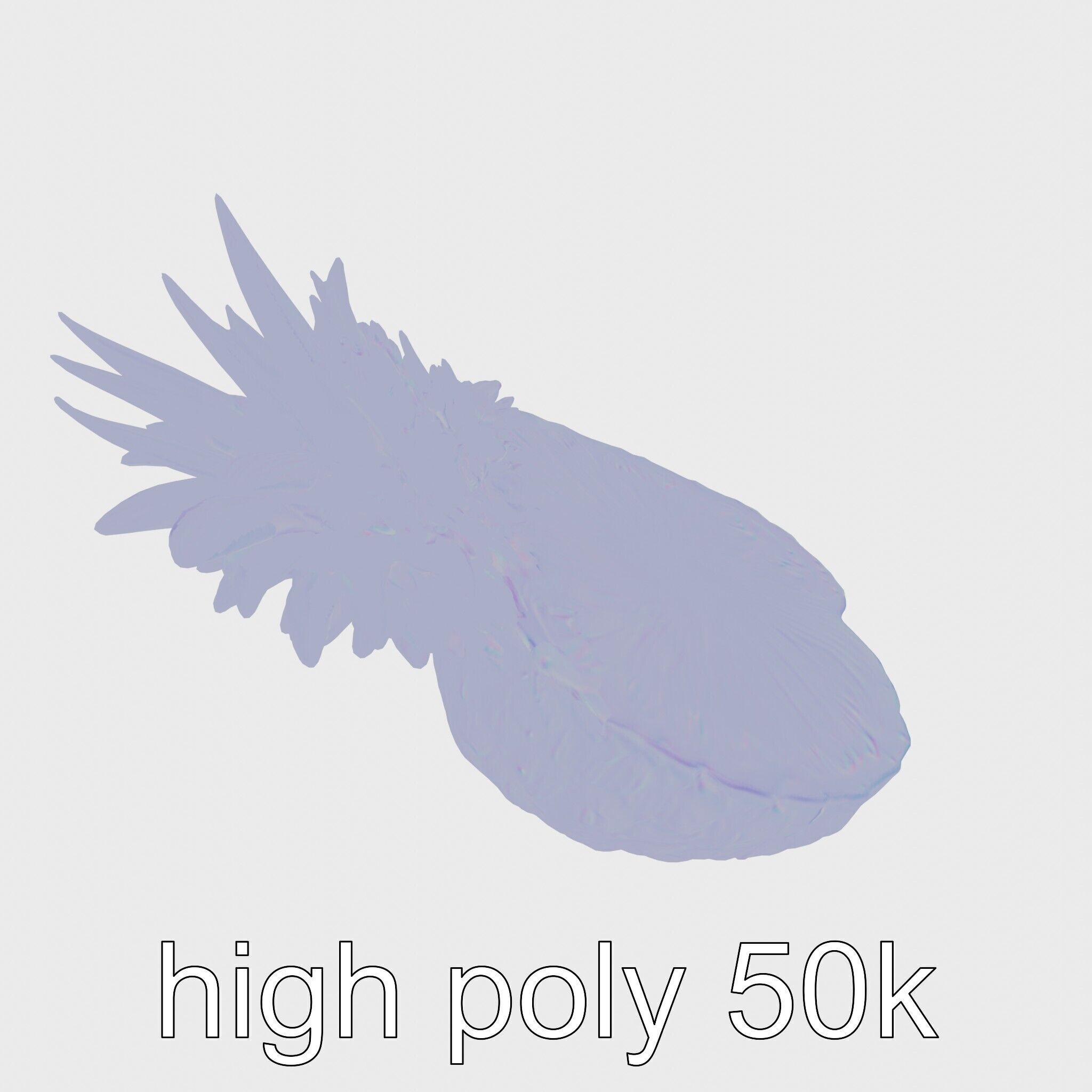 Exotic Pineapple Slice 3D model pack Low-poly 3D model_17