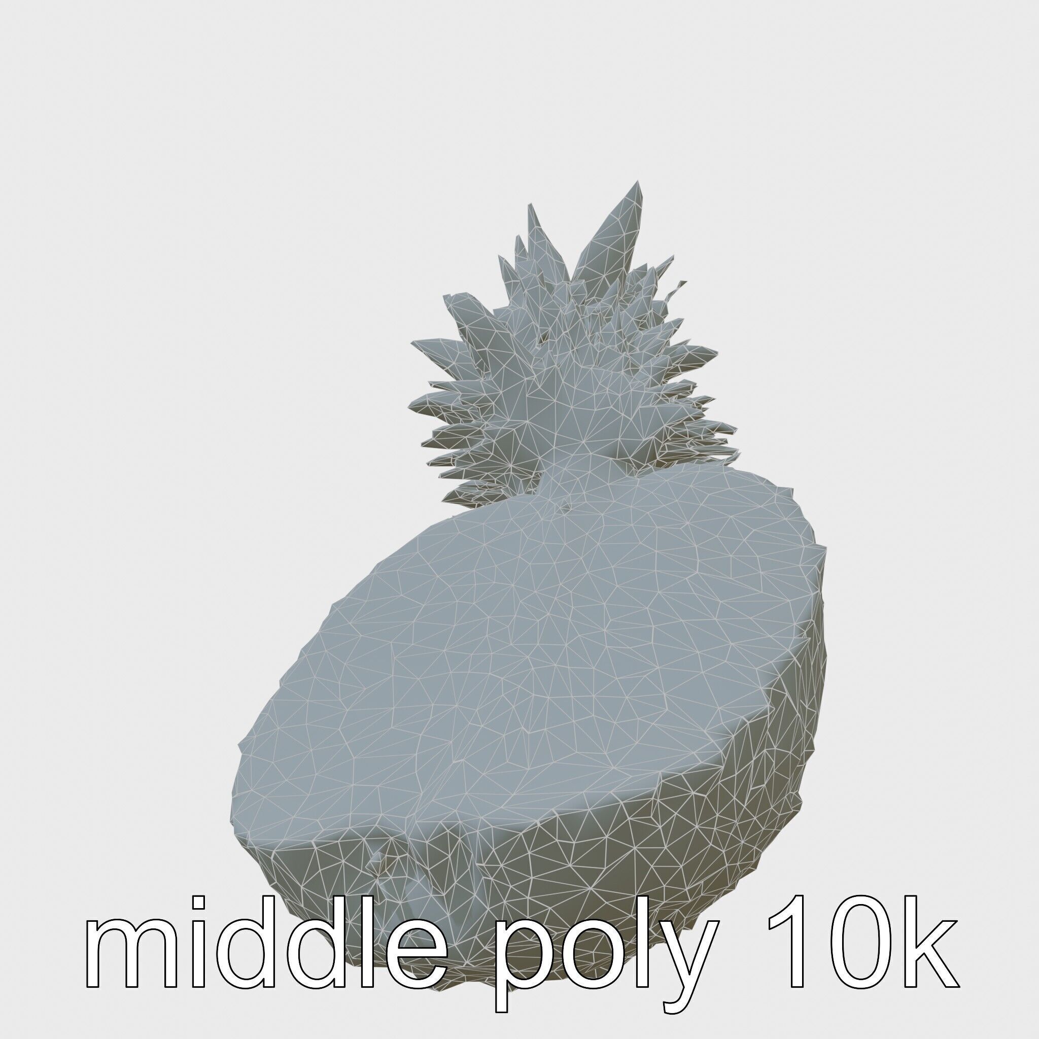 Exotic Pineapple Slice 3D model pack Low-poly 3D model_9
