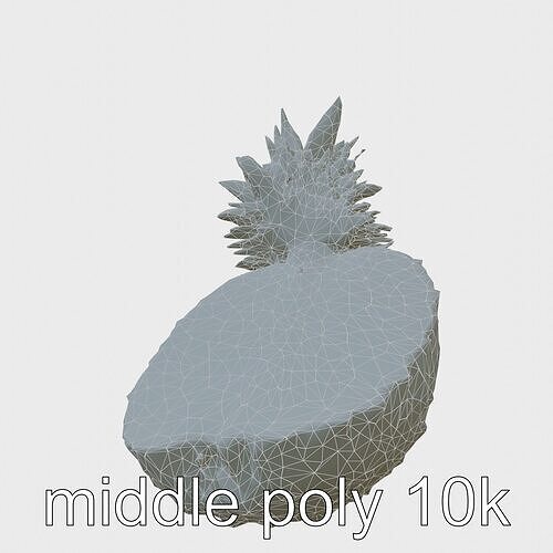 Exotic Pineapple Slice 3D model pack Low-poly 3D model 7