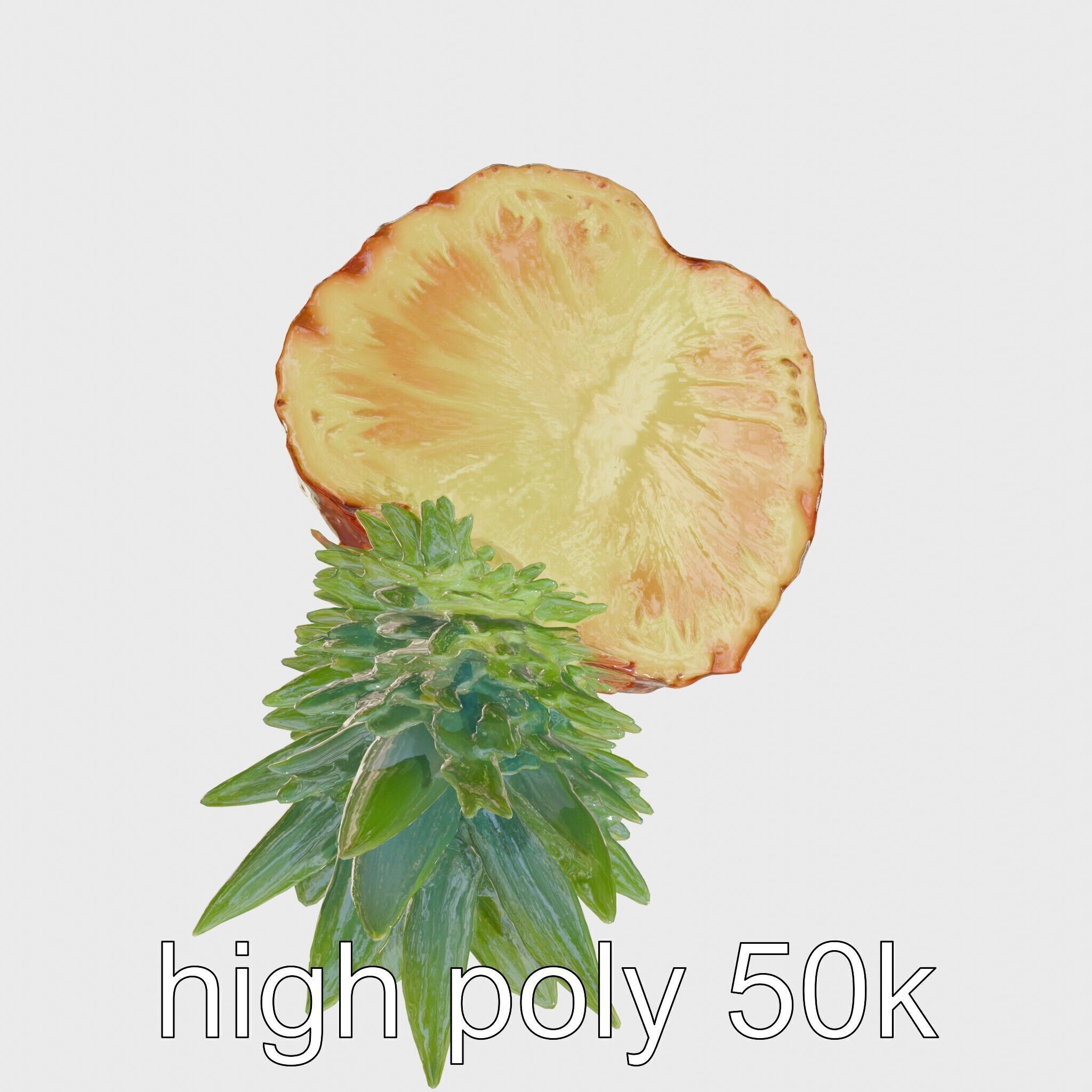 Exotic Pineapple Slice 3D model pack Low-poly 3D model_21